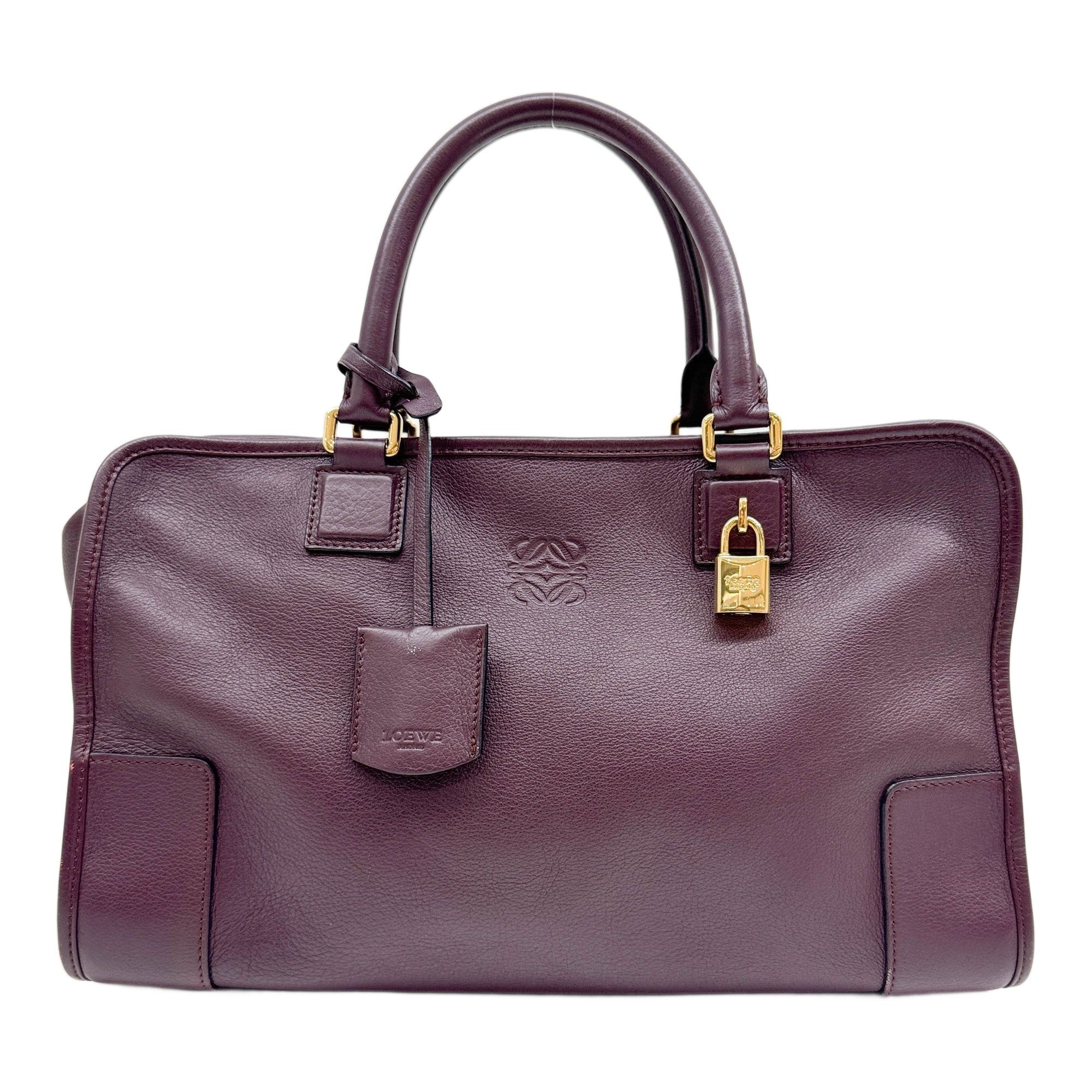 Amazona Bordeaux Leather Hand Bag