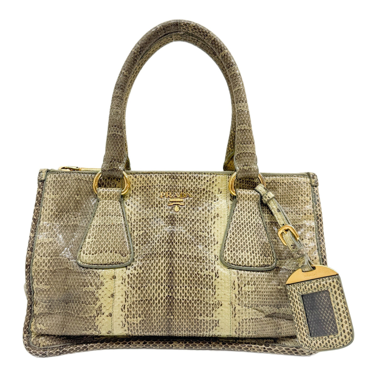Gold Hardware Sage Green Python Embossed Leather Hand Bag