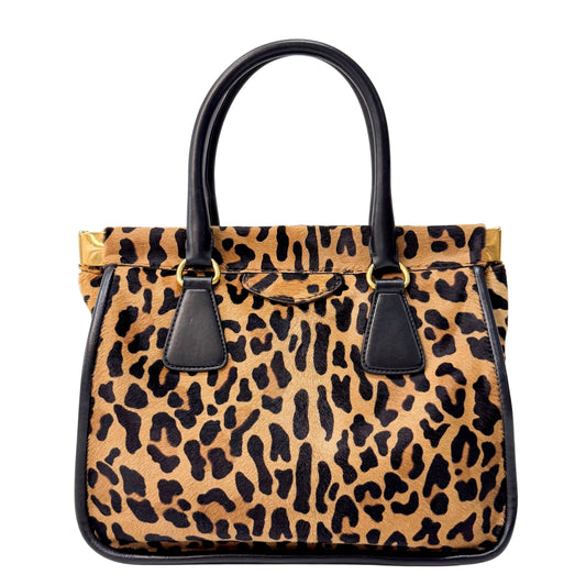Leopard Print Bag