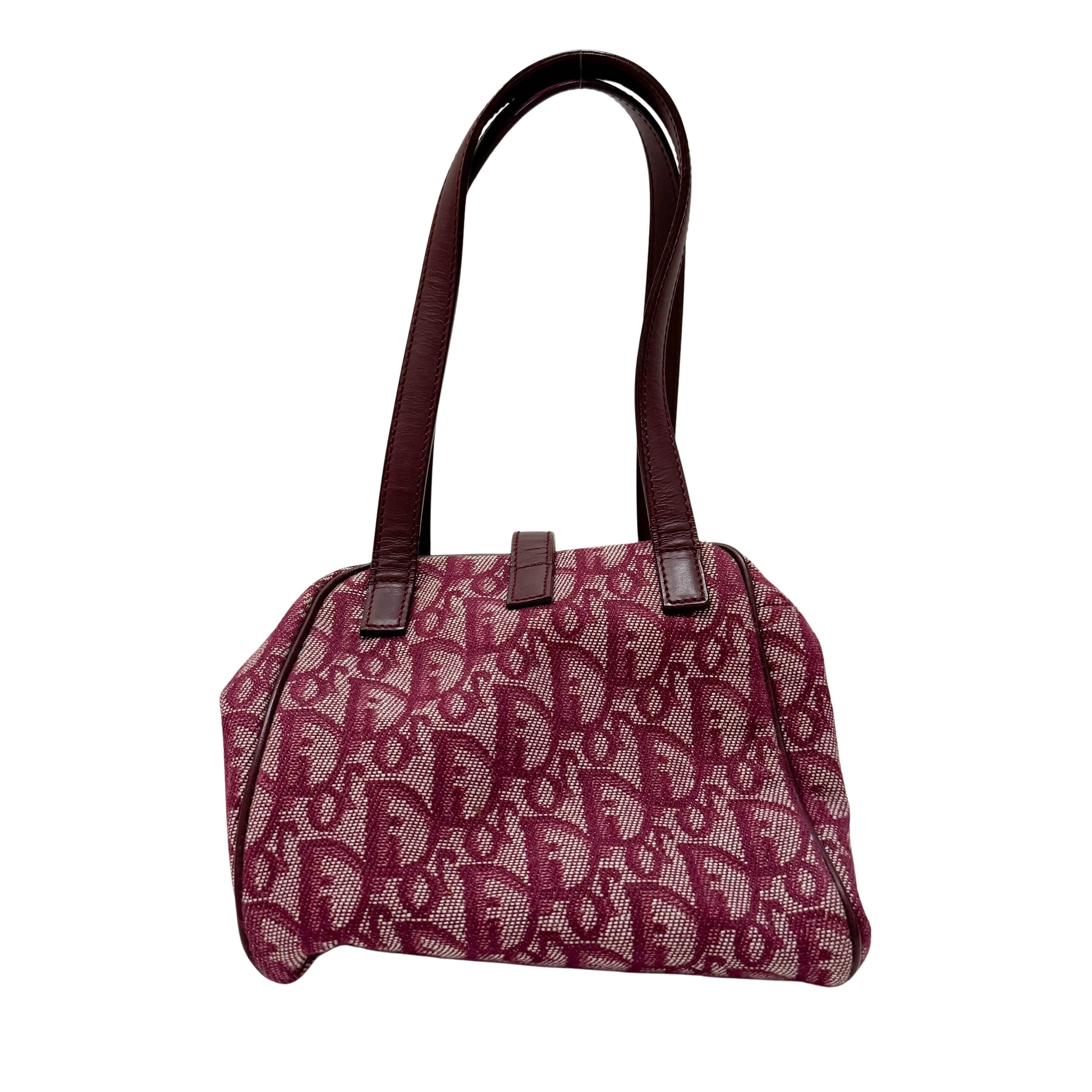 Red Trotter Pouch Bag