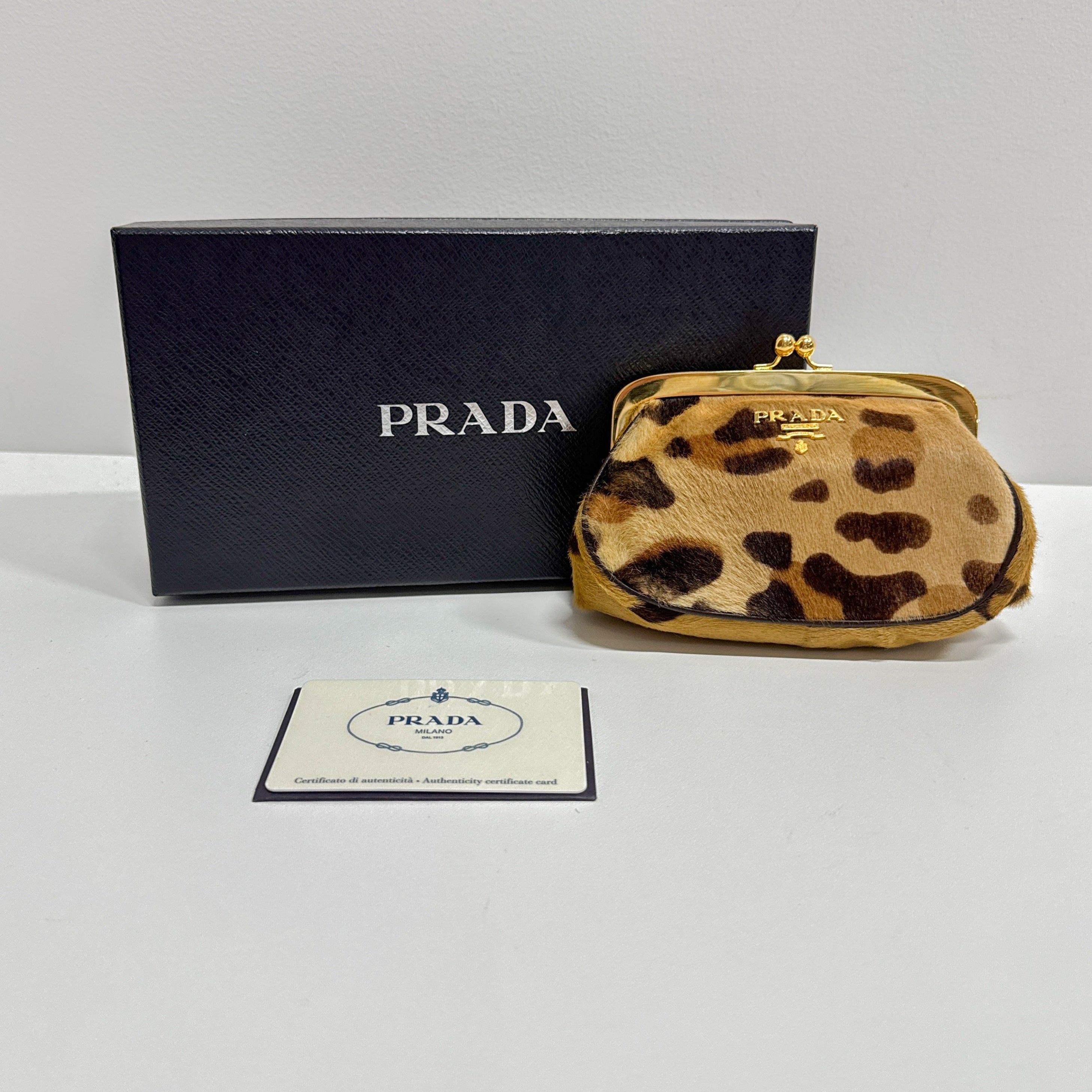 Brown Leopard Print Pony Hair Coin Pouch