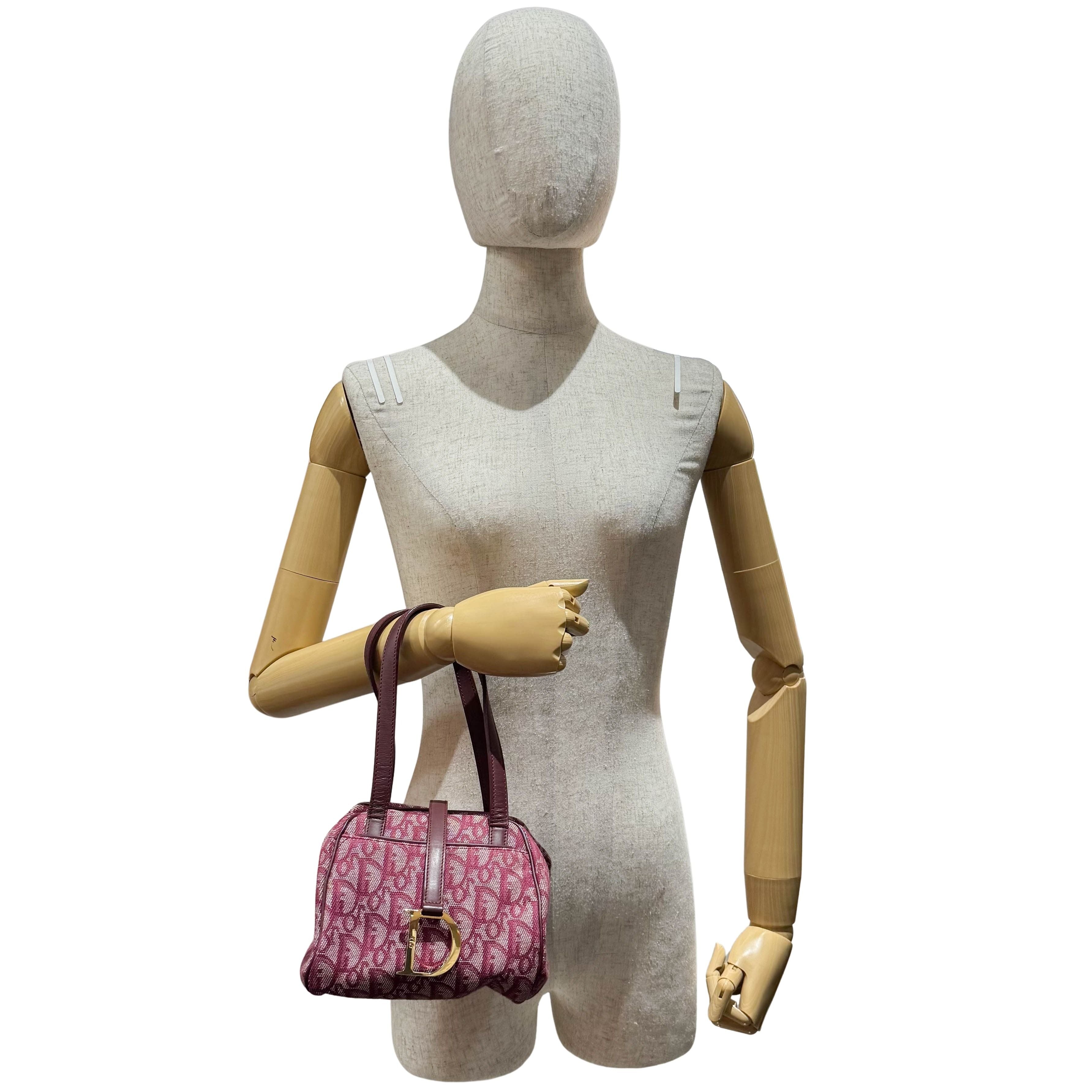 Red Trotter Pouch Bag