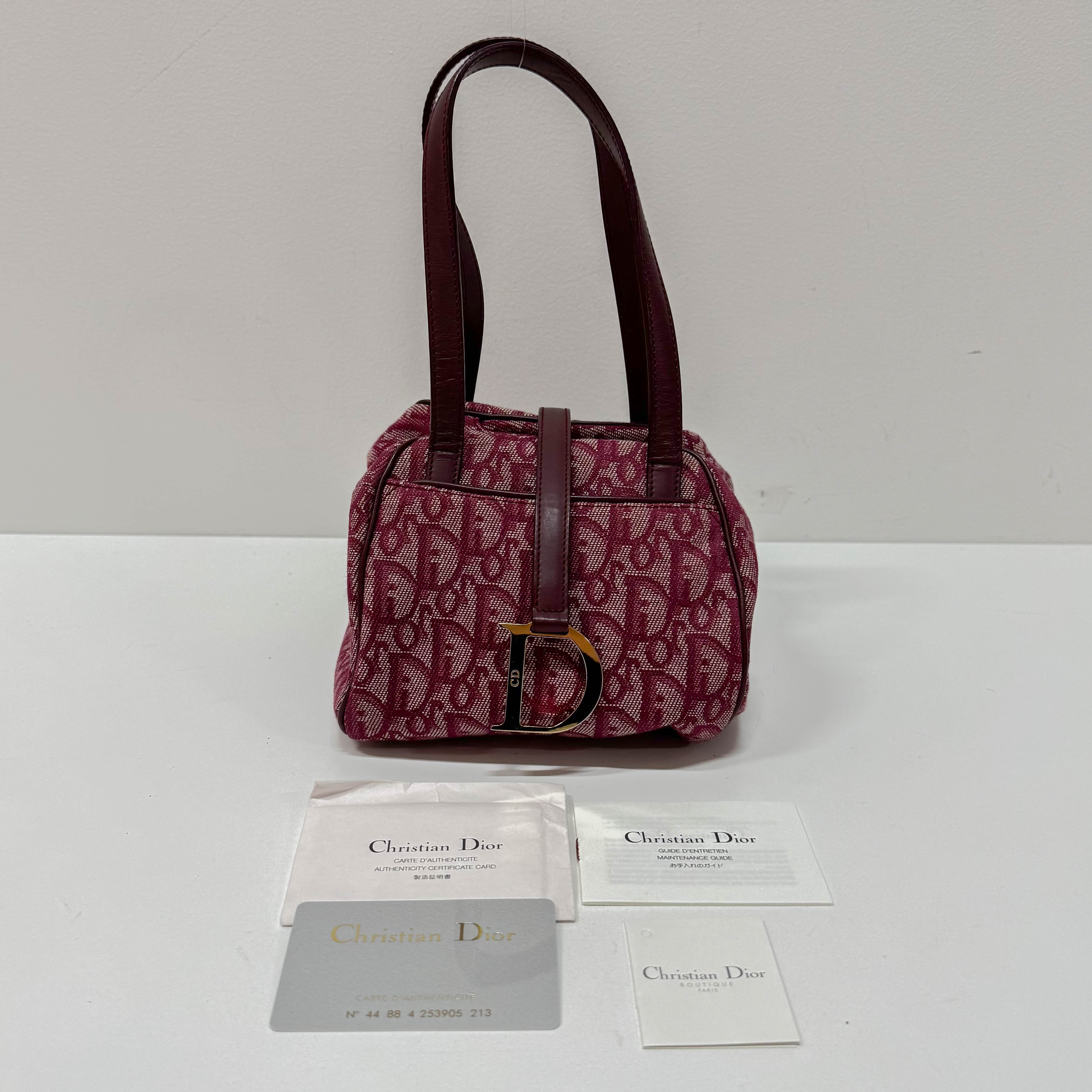 Red Trotter Pouch Bag