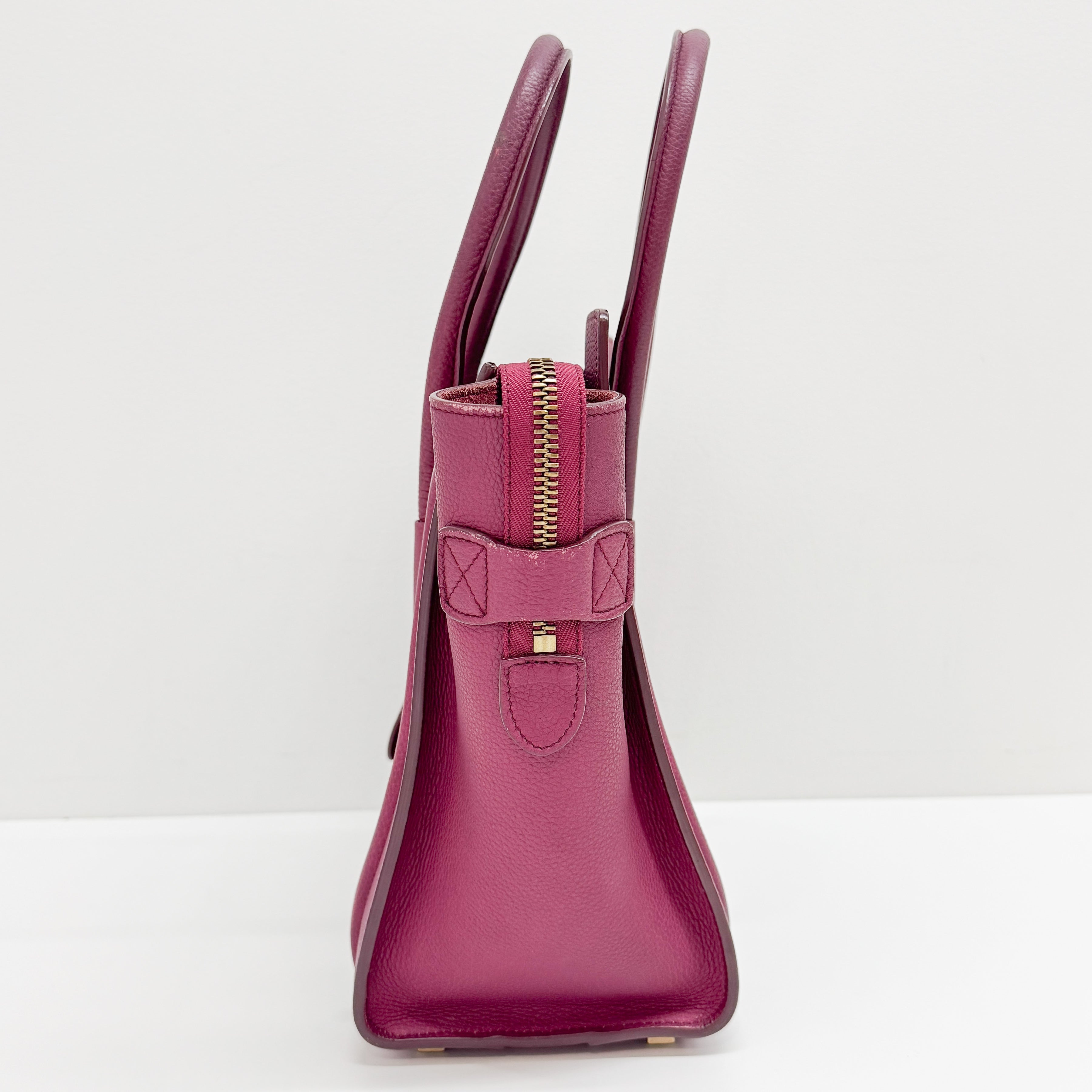 Luggage Microshopper Leather Tote Bag