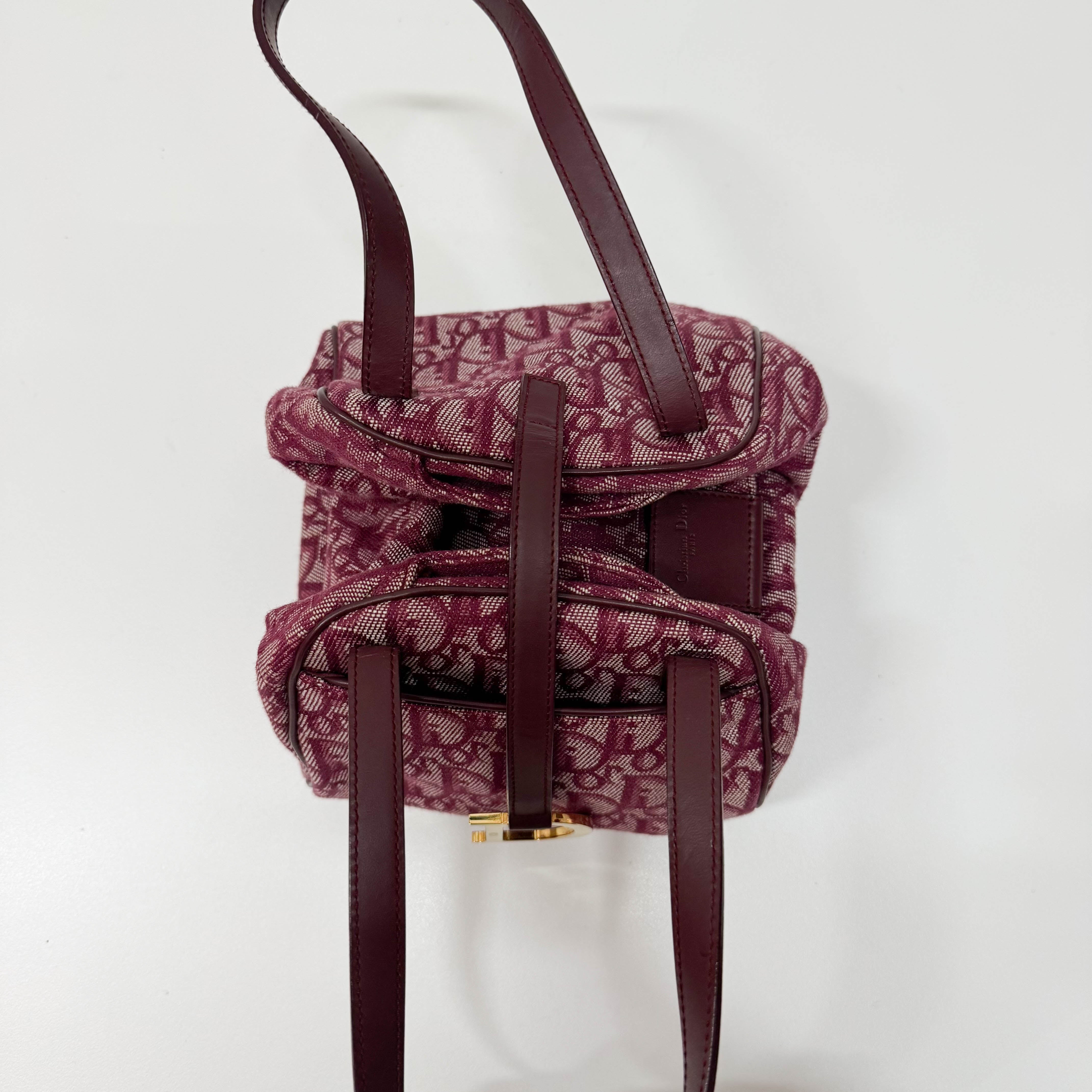 Red Trotter Pouch Bag