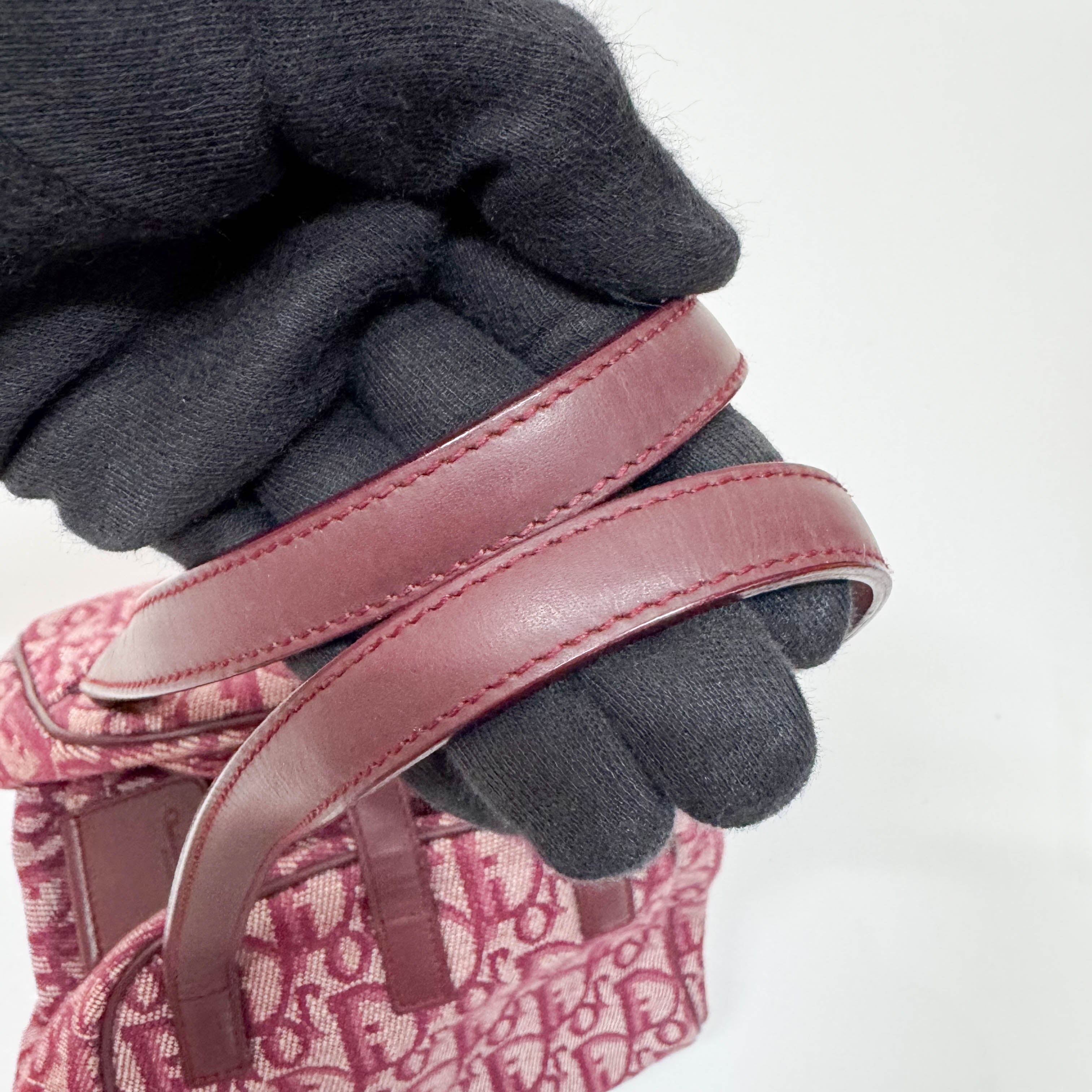 Red Trotter Pouch Bag