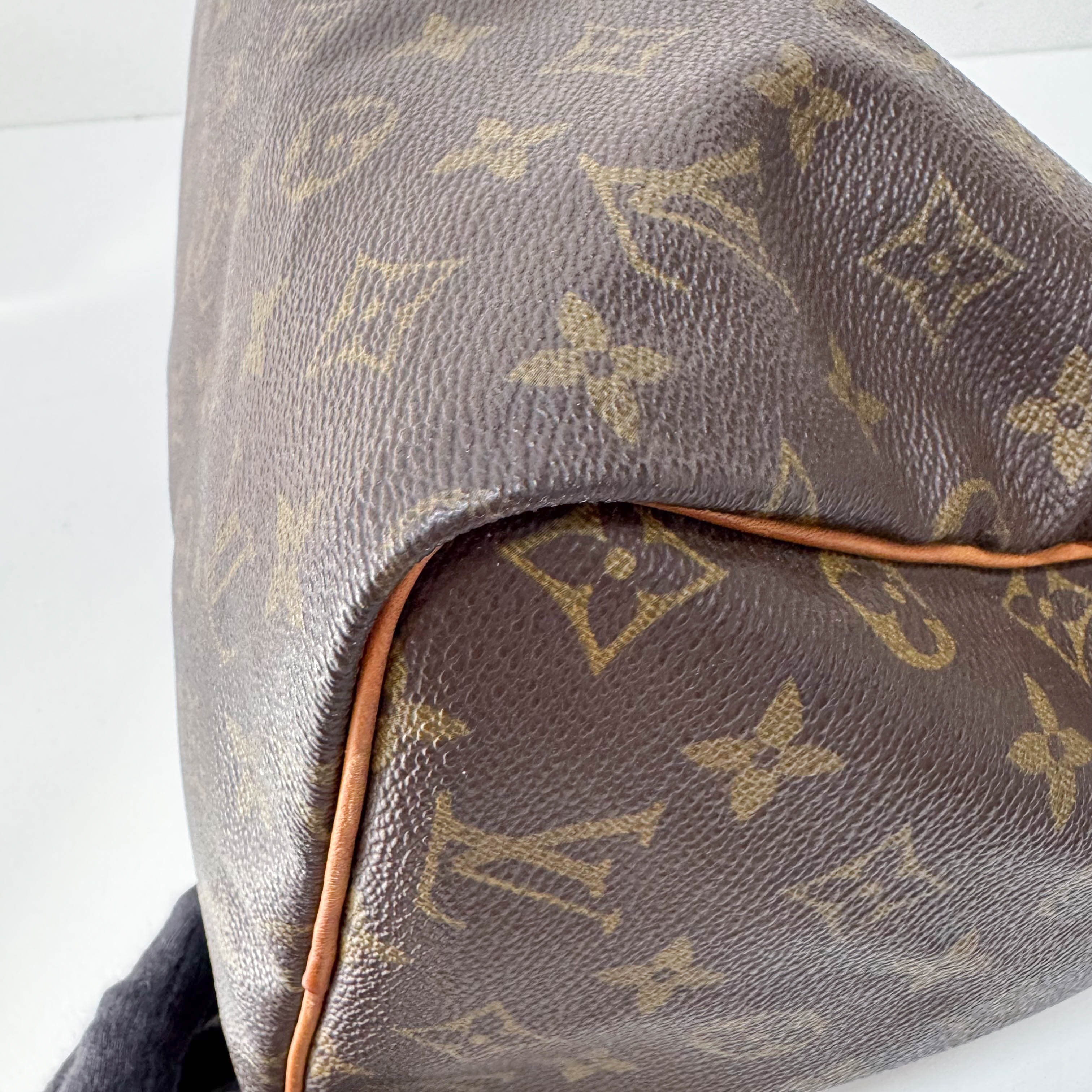 Monogram Speedy 30 Hand Bag