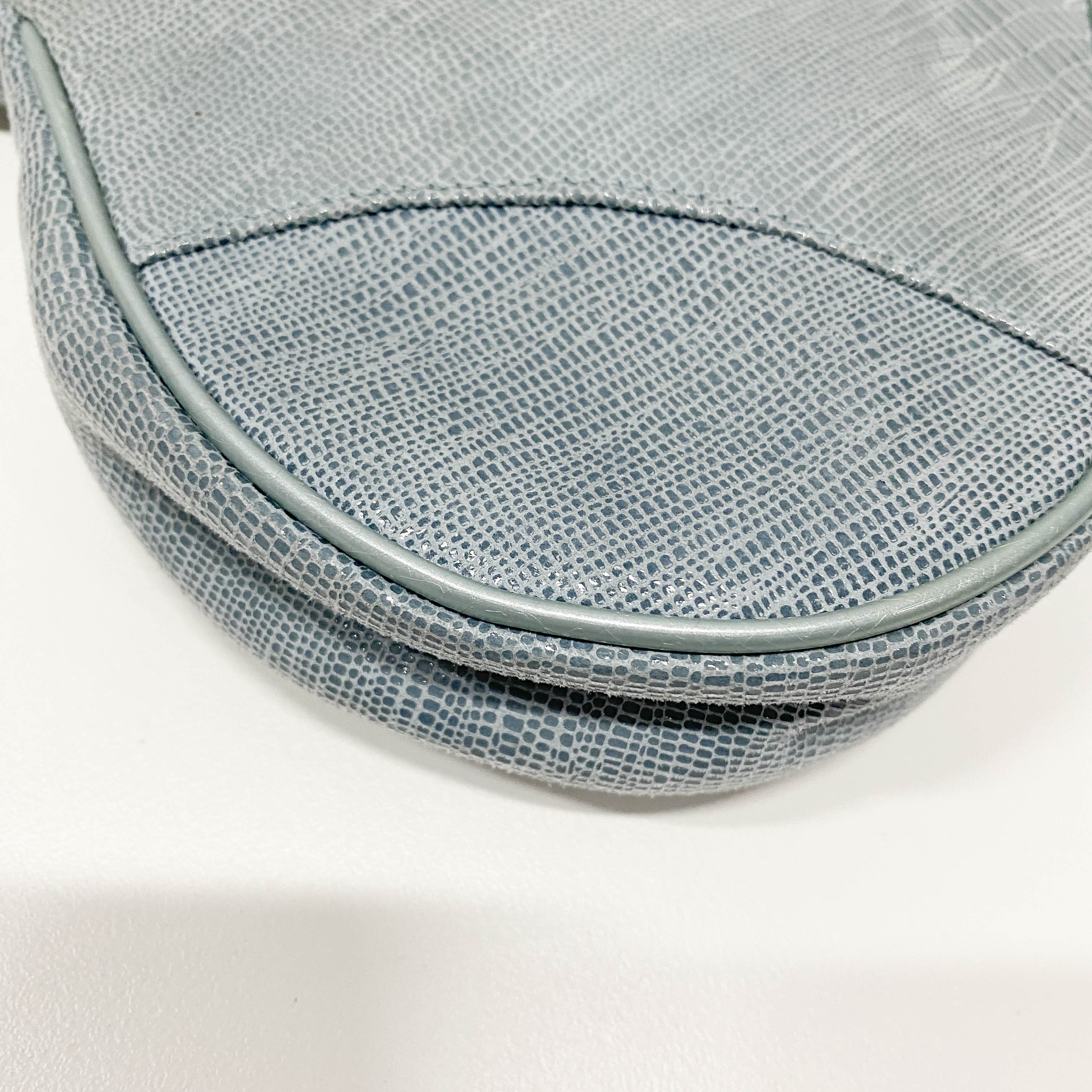 Saddle Blue Embossed Lizard Canvas Shoulder Bag