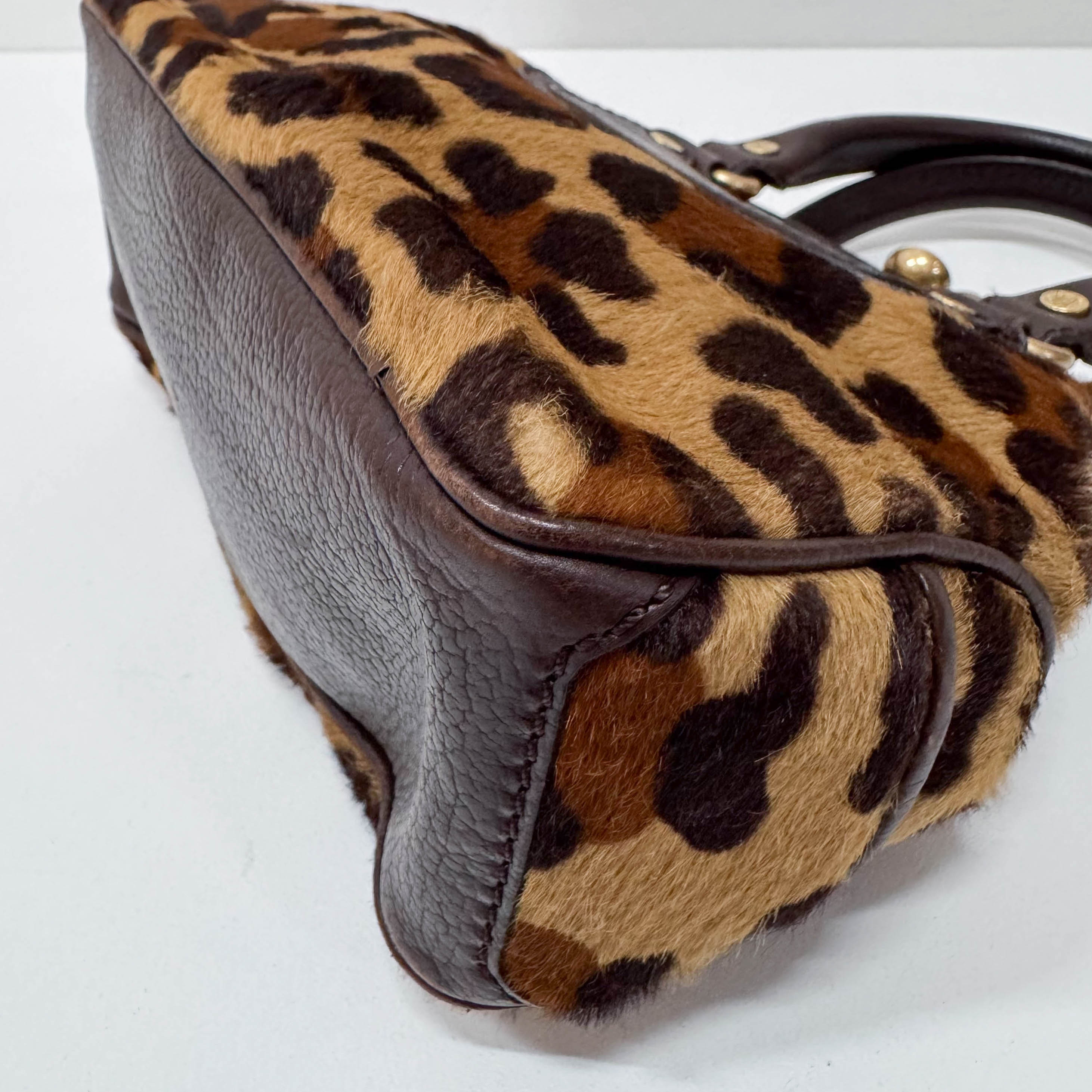 Leopard Print Pony Hair Top Handle Bag