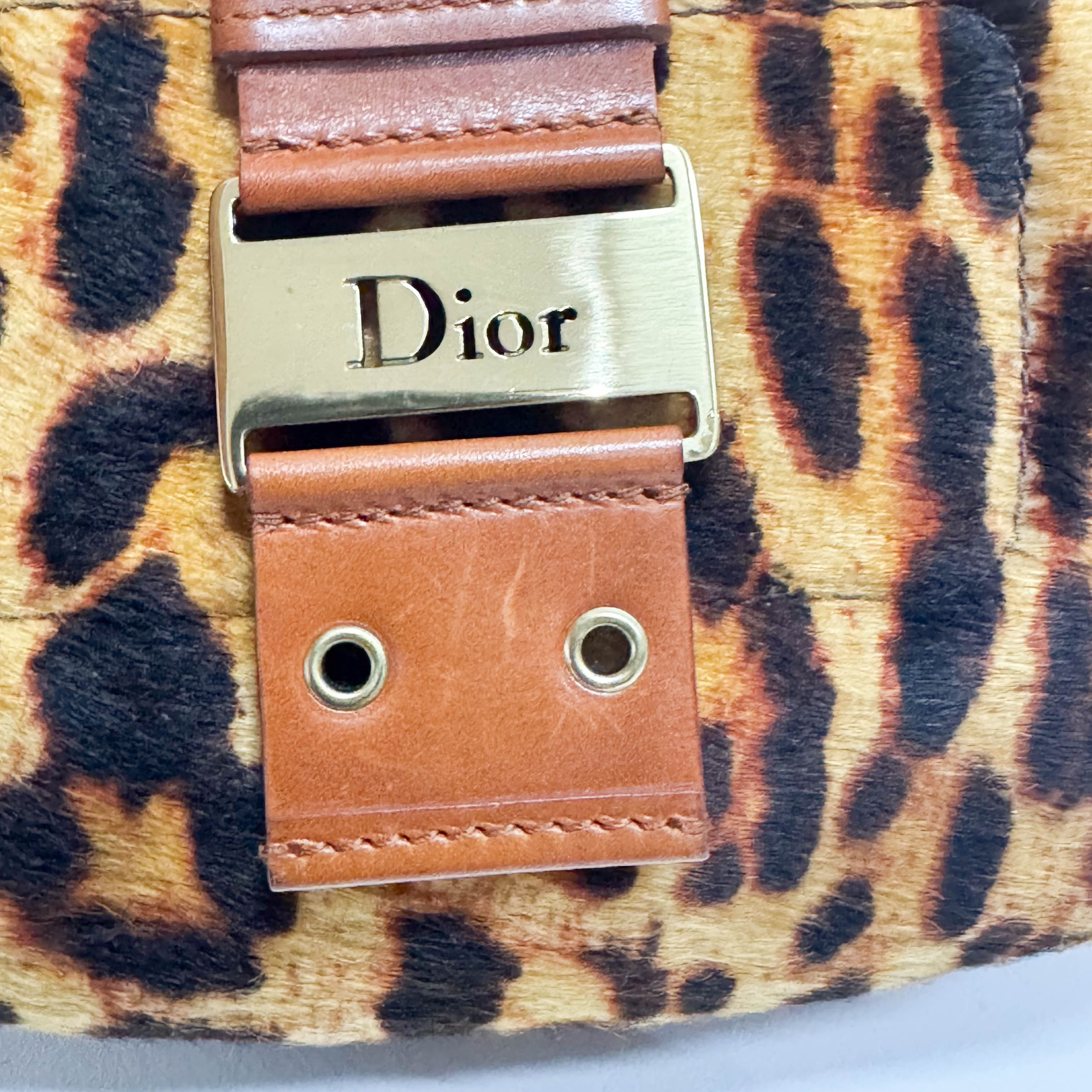 Street Chic Leopard Pony Hair Hobo Shoulder Bag