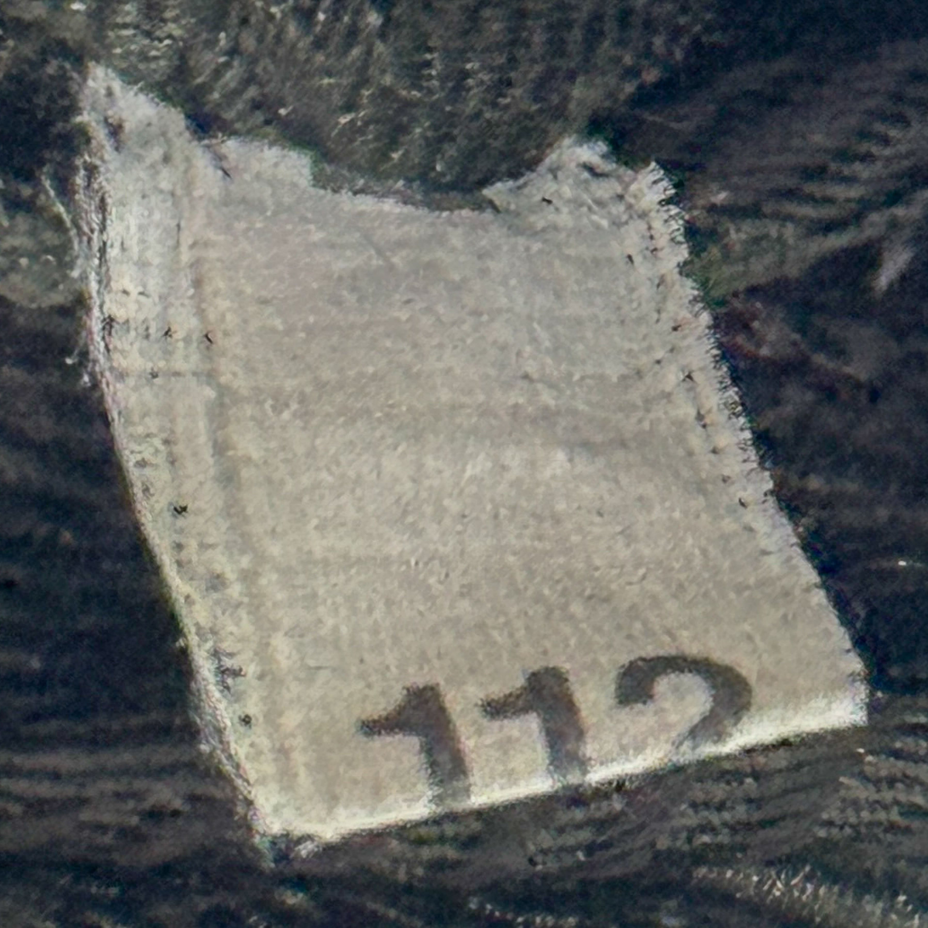 Zebra Print Pony Hair Shoulder Bag