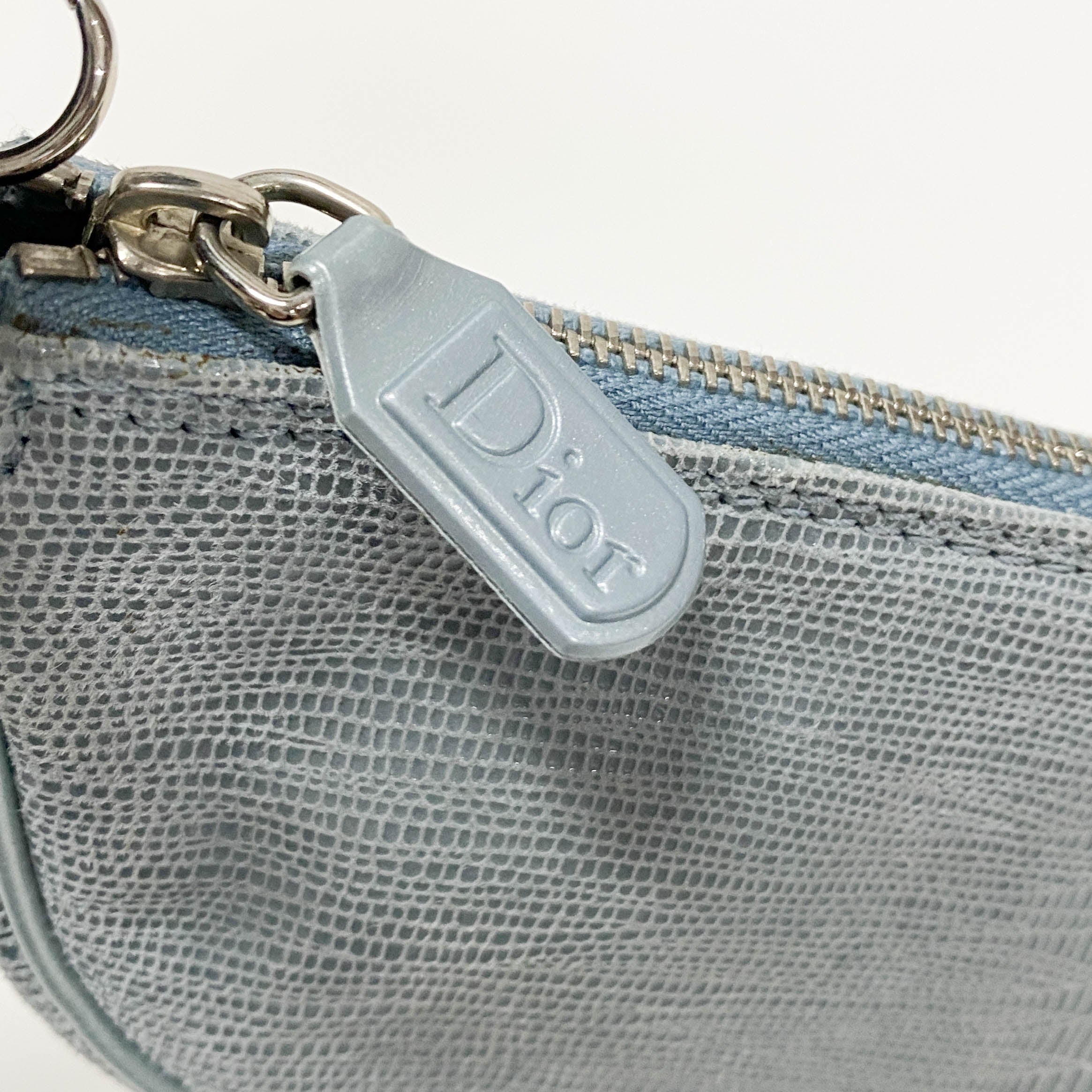 Saddle Blue Embossed Lizard Canvas Shoulder Bag