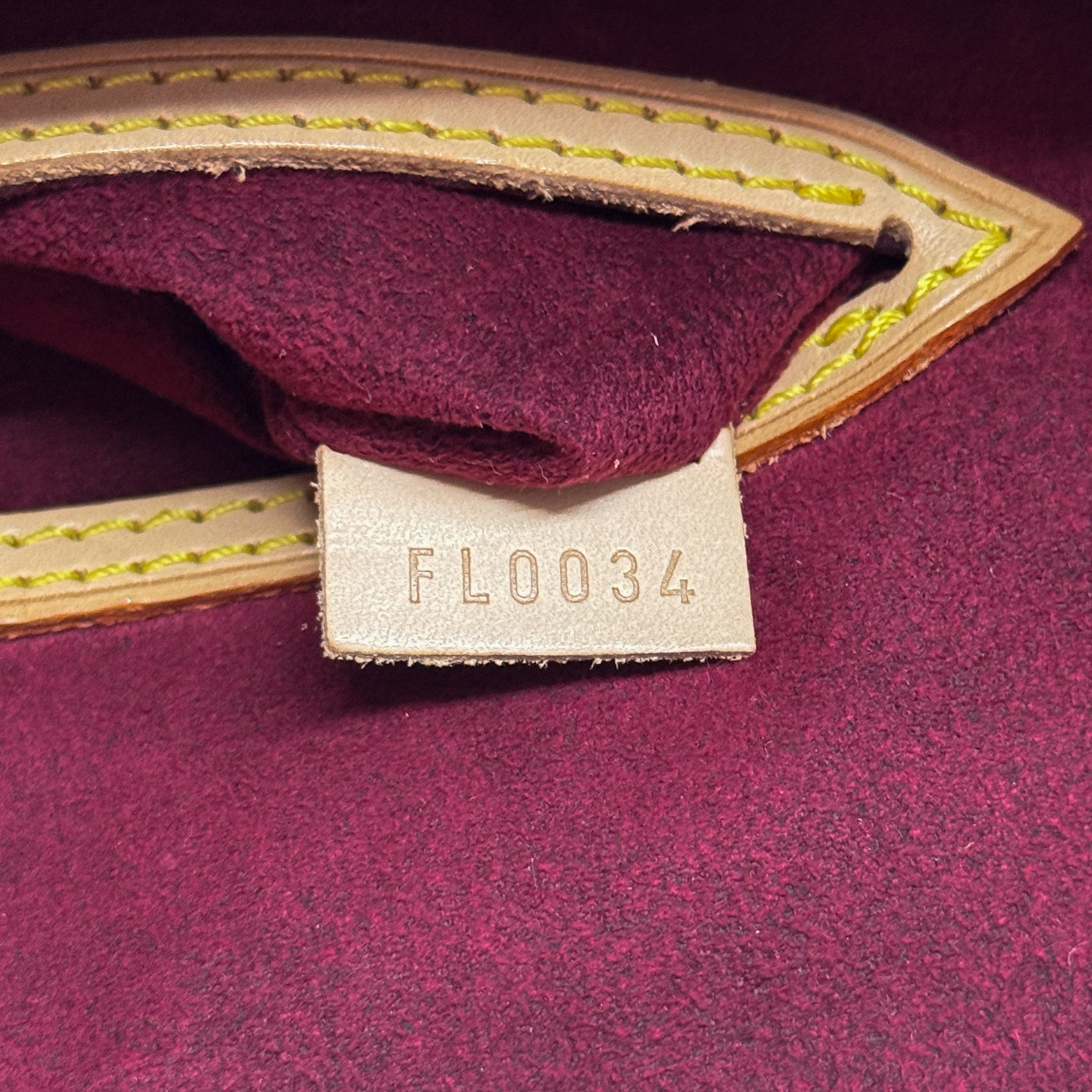 Monogram Multi-color Coated Canvas Hand Bag