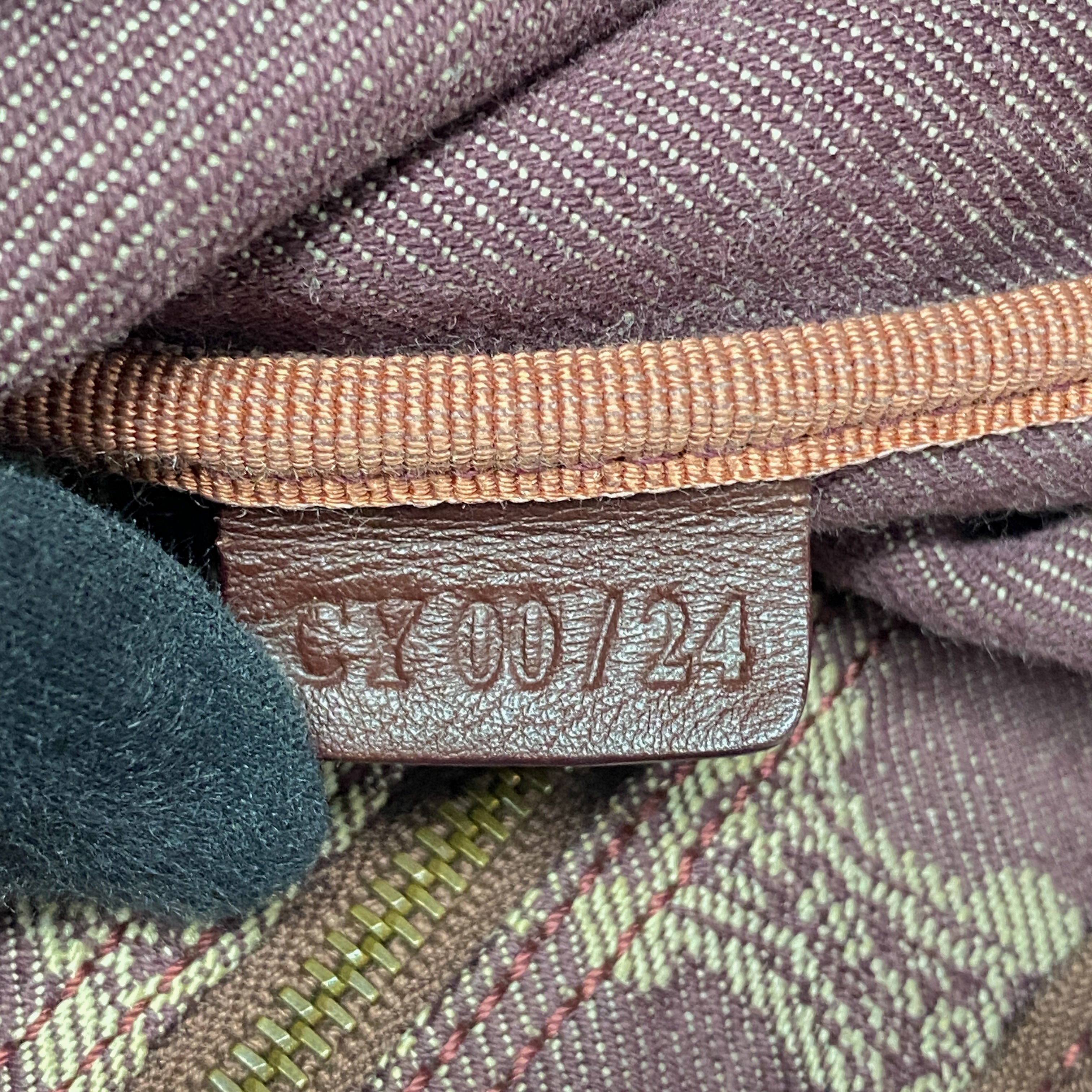 Paris Macadam Purple Denim Hobo Bag