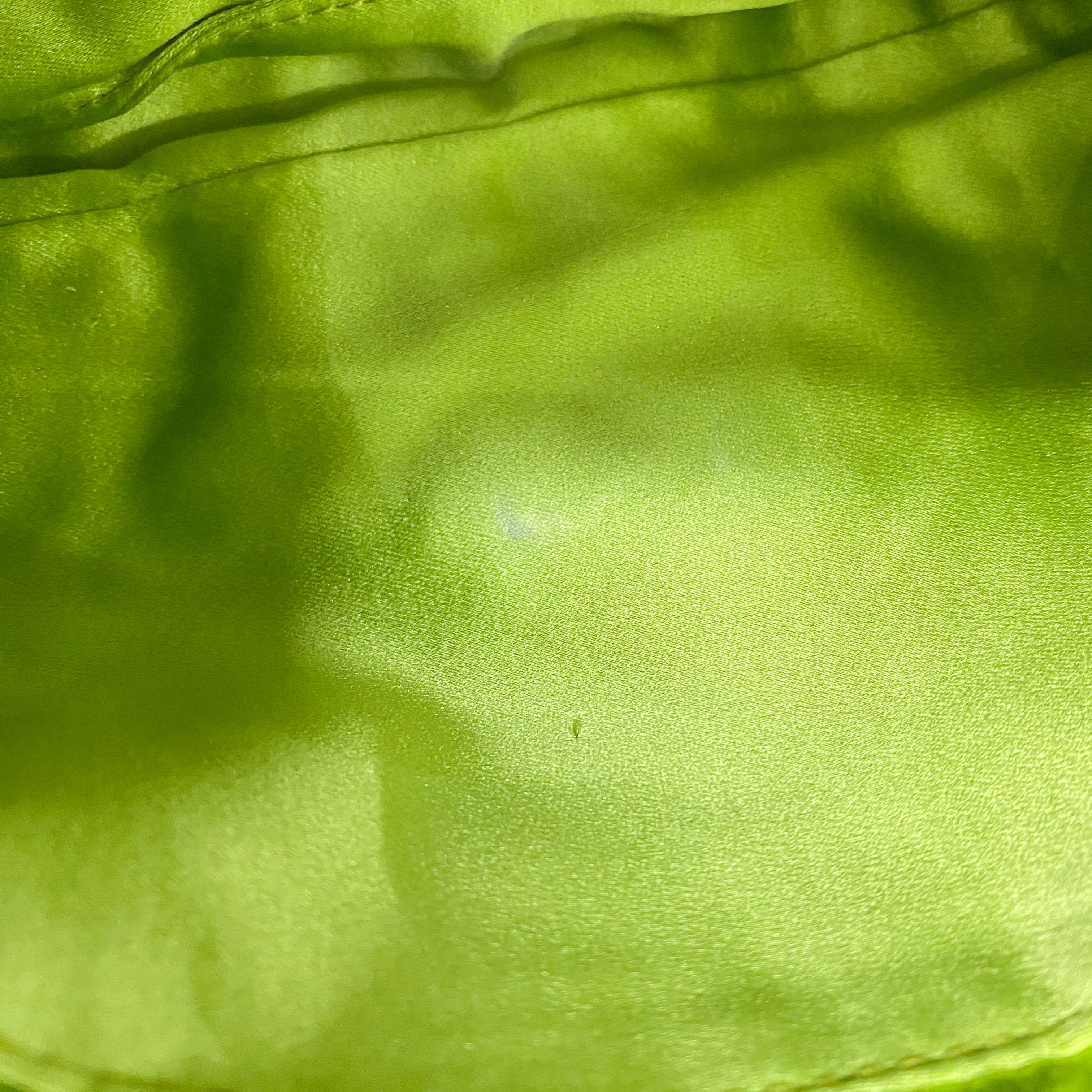 Limited Edition Baguette Mother Of Pearl Green Satin Shoulder Bag