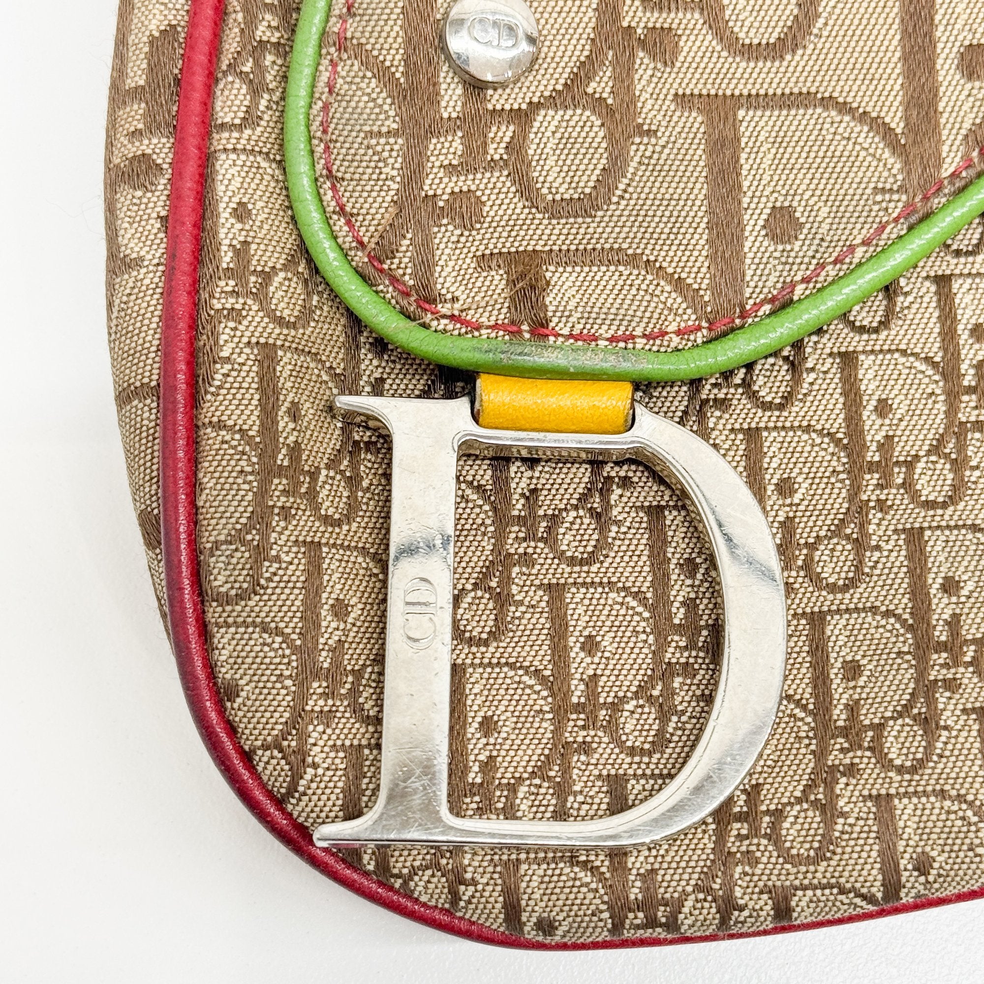 Trotter Multi-color Canvas Shoulder Bag