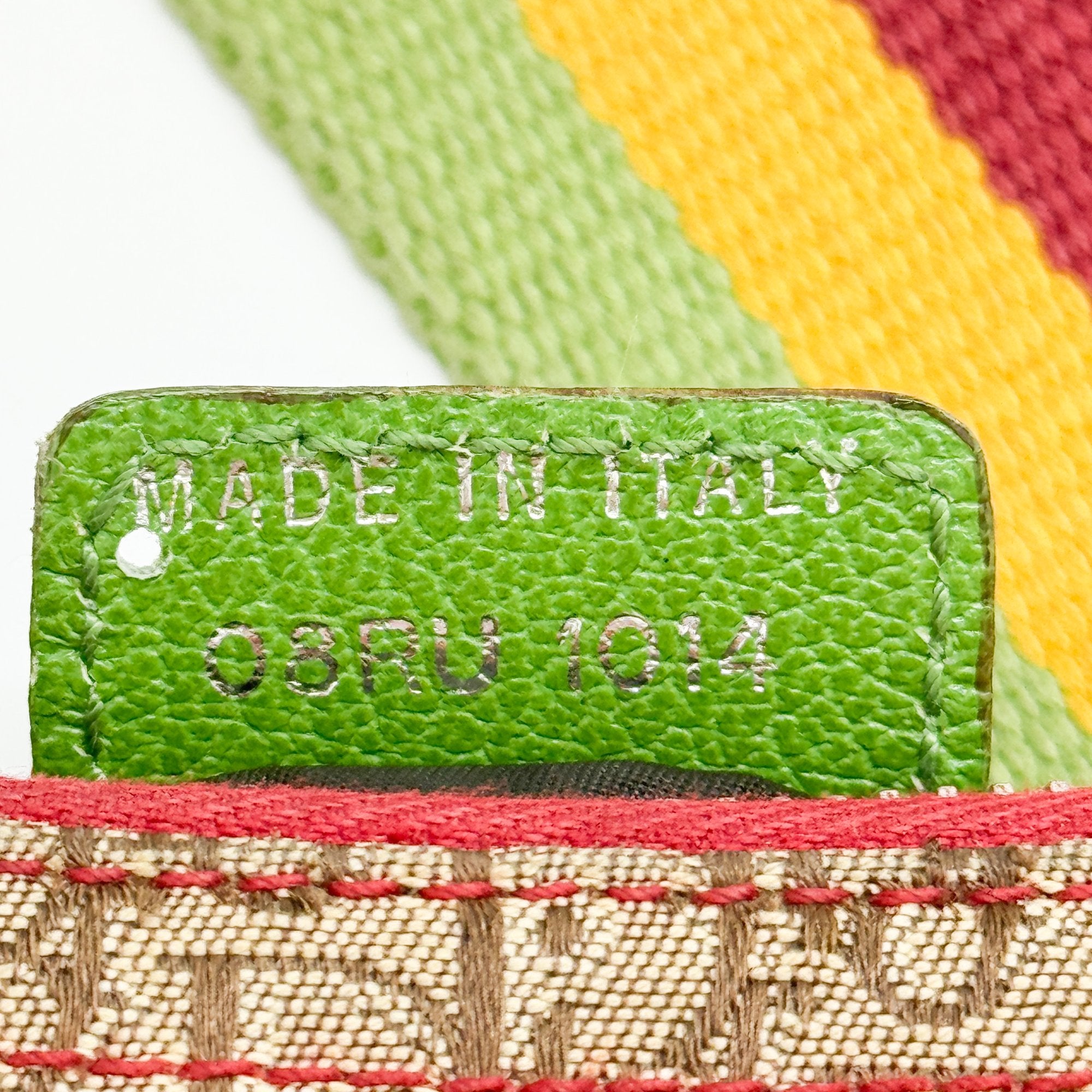 Trotter Multi-color Canvas Shoulder Bag