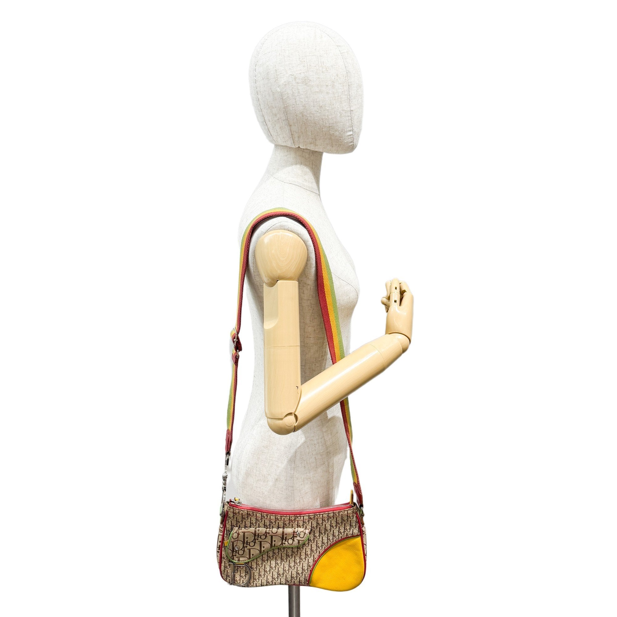 Trotter Multi-color Canvas Shoulder Bag