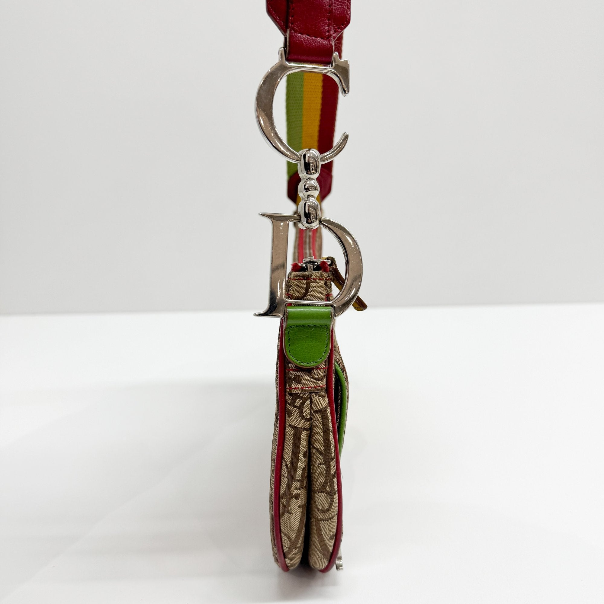 Trotter Multi-color Canvas Shoulder Bag