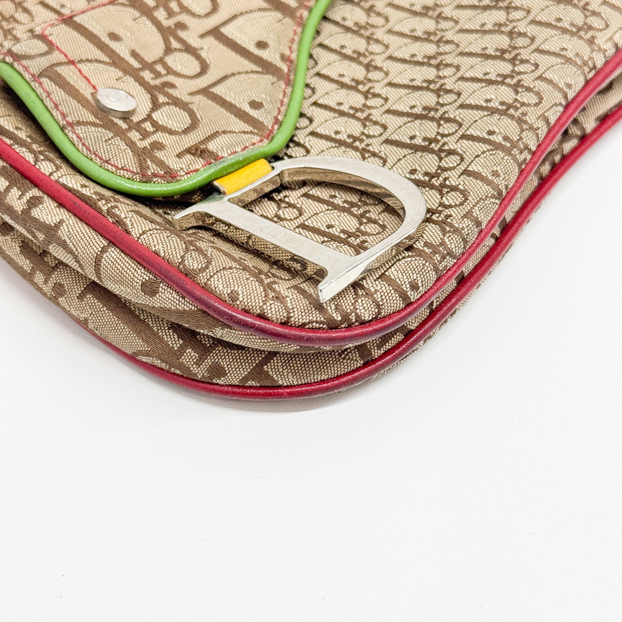 Trotter Multi-color Canvas Shoulder Bag