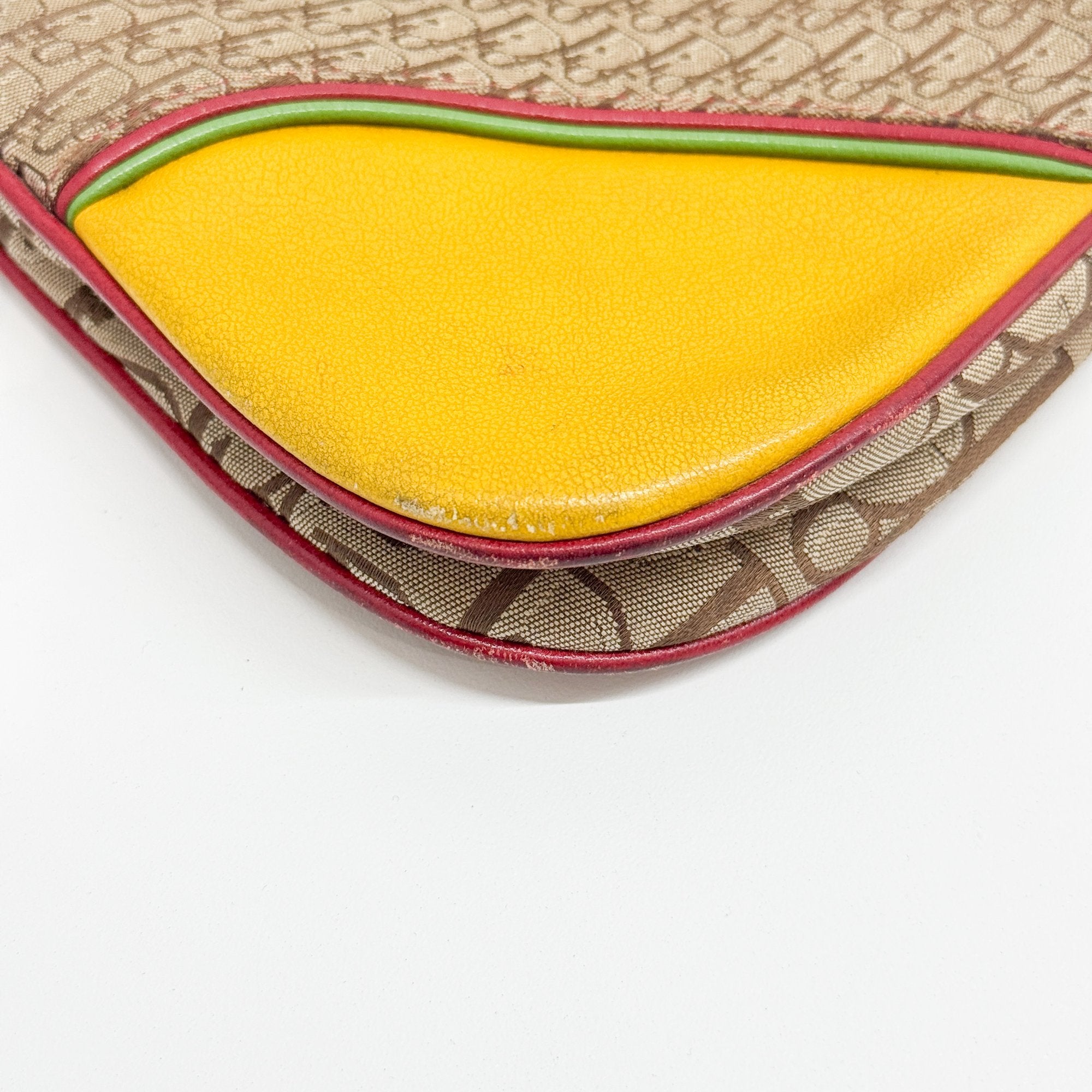 Trotter Multi-color Canvas Shoulder Bag