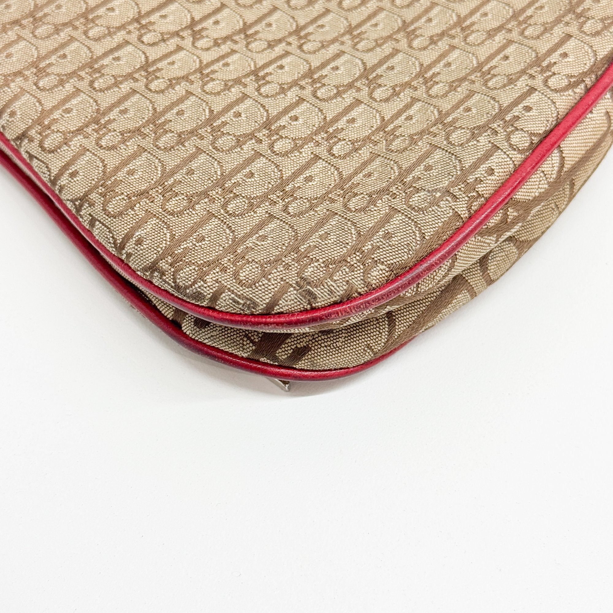 Trotter Multi-color Canvas Shoulder Bag