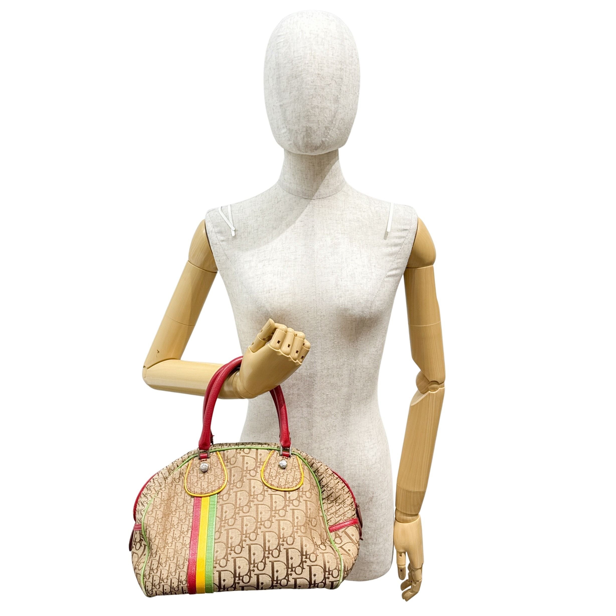 Rasta Trotter Brown Canvas Handbag