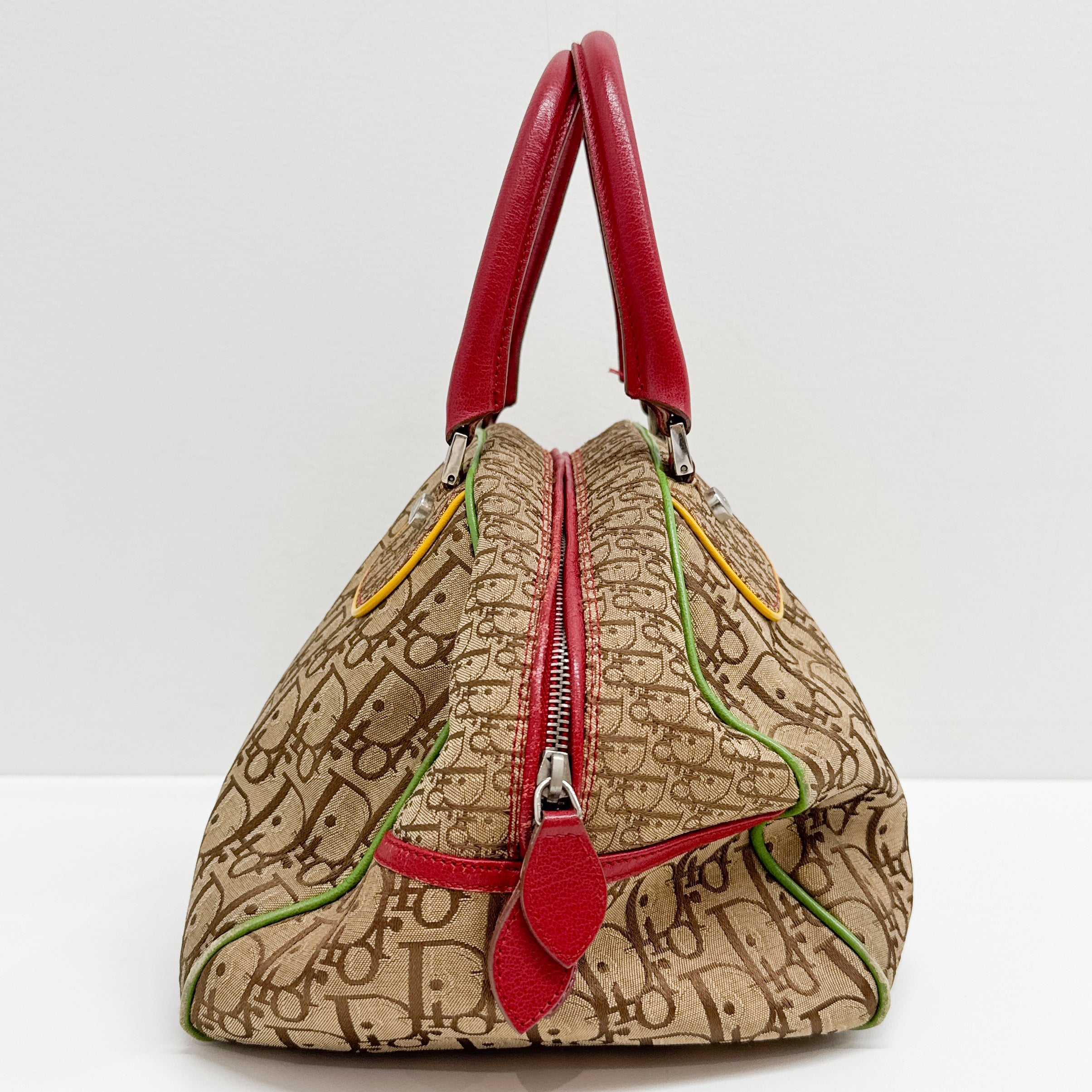 Rasta Trotter Brown Canvas Handbag