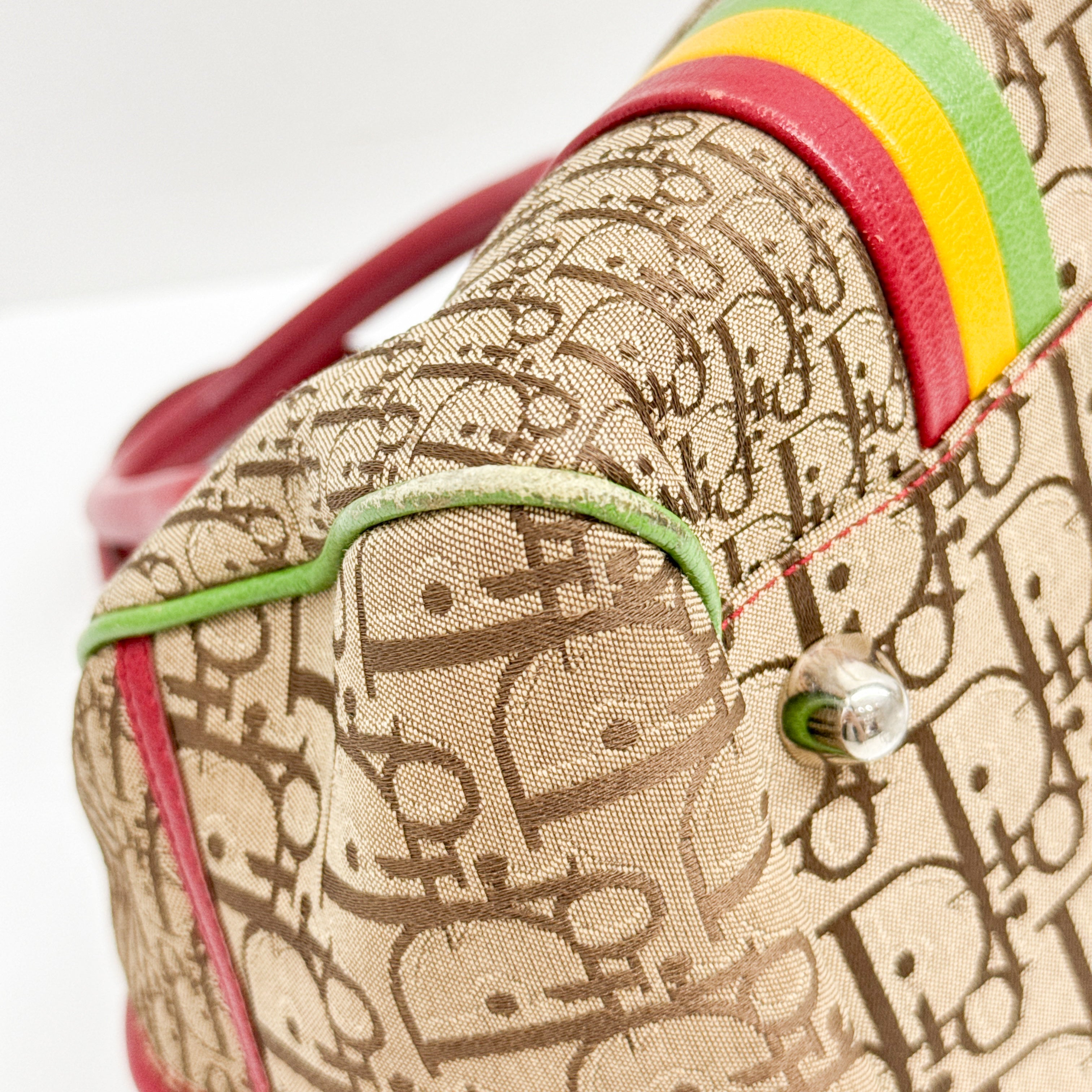 Rasta Trotter Brown Canvas Handbag