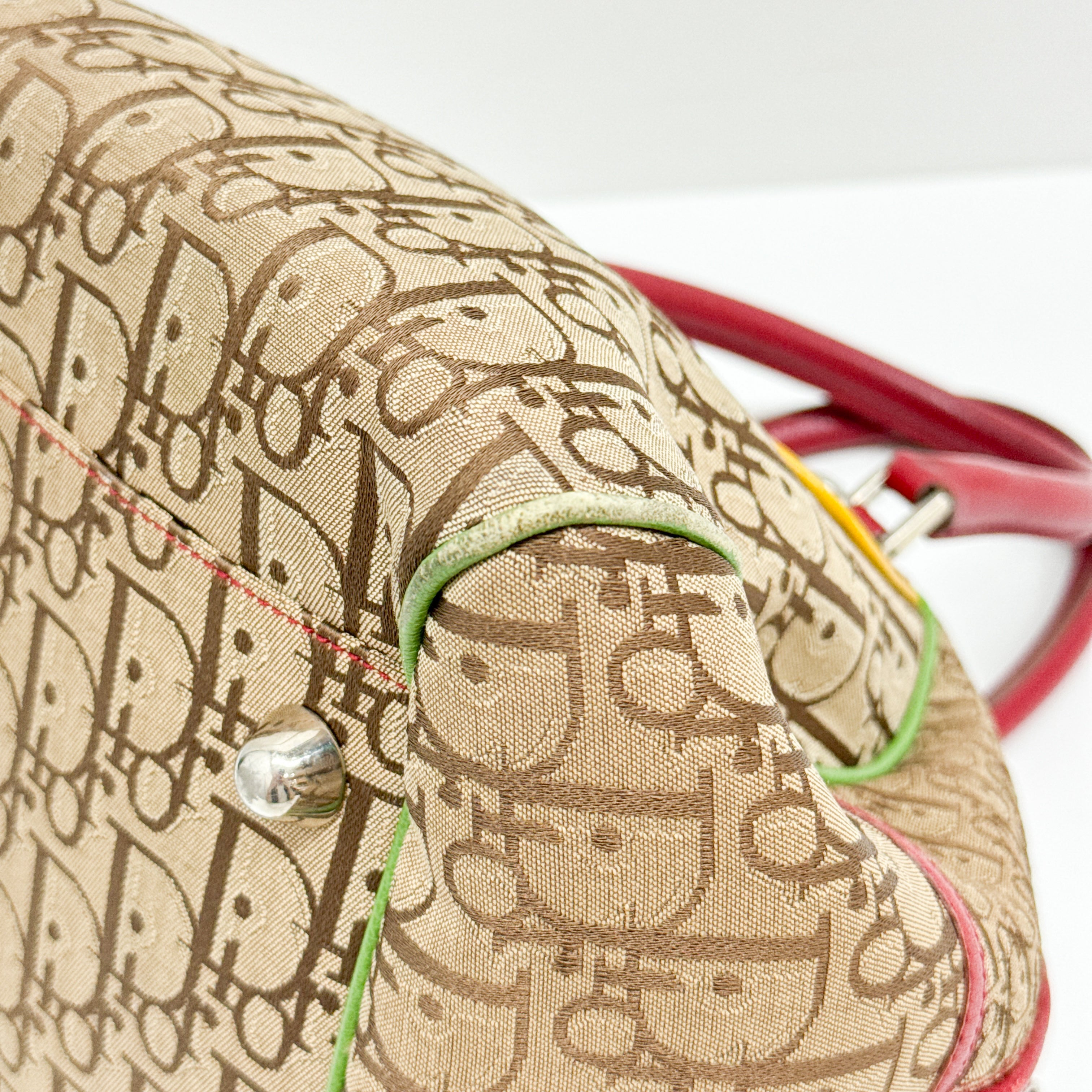 Rasta Trotter Brown Canvas Handbag