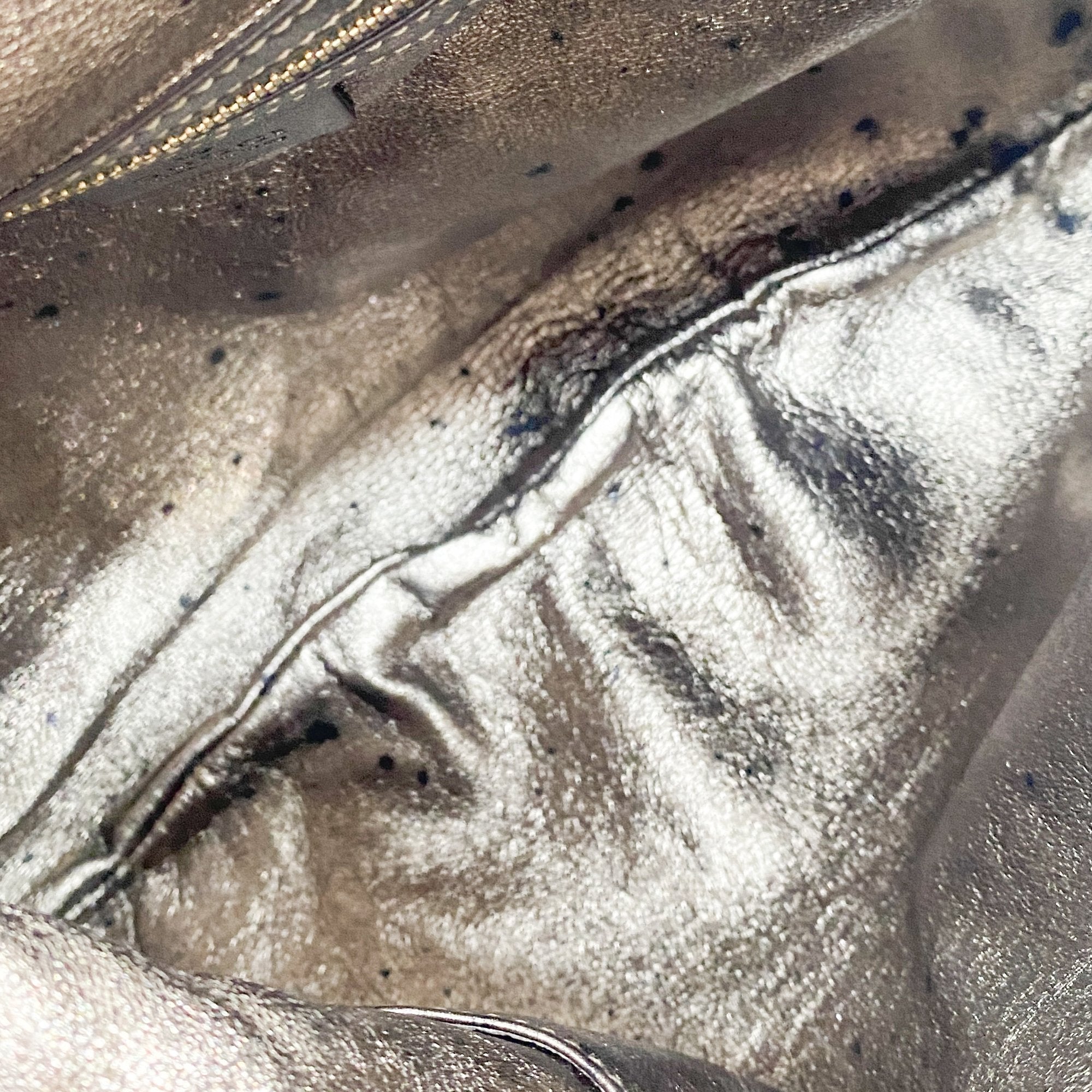 Indy Metallic Python Embossed Leather Hobo Bag