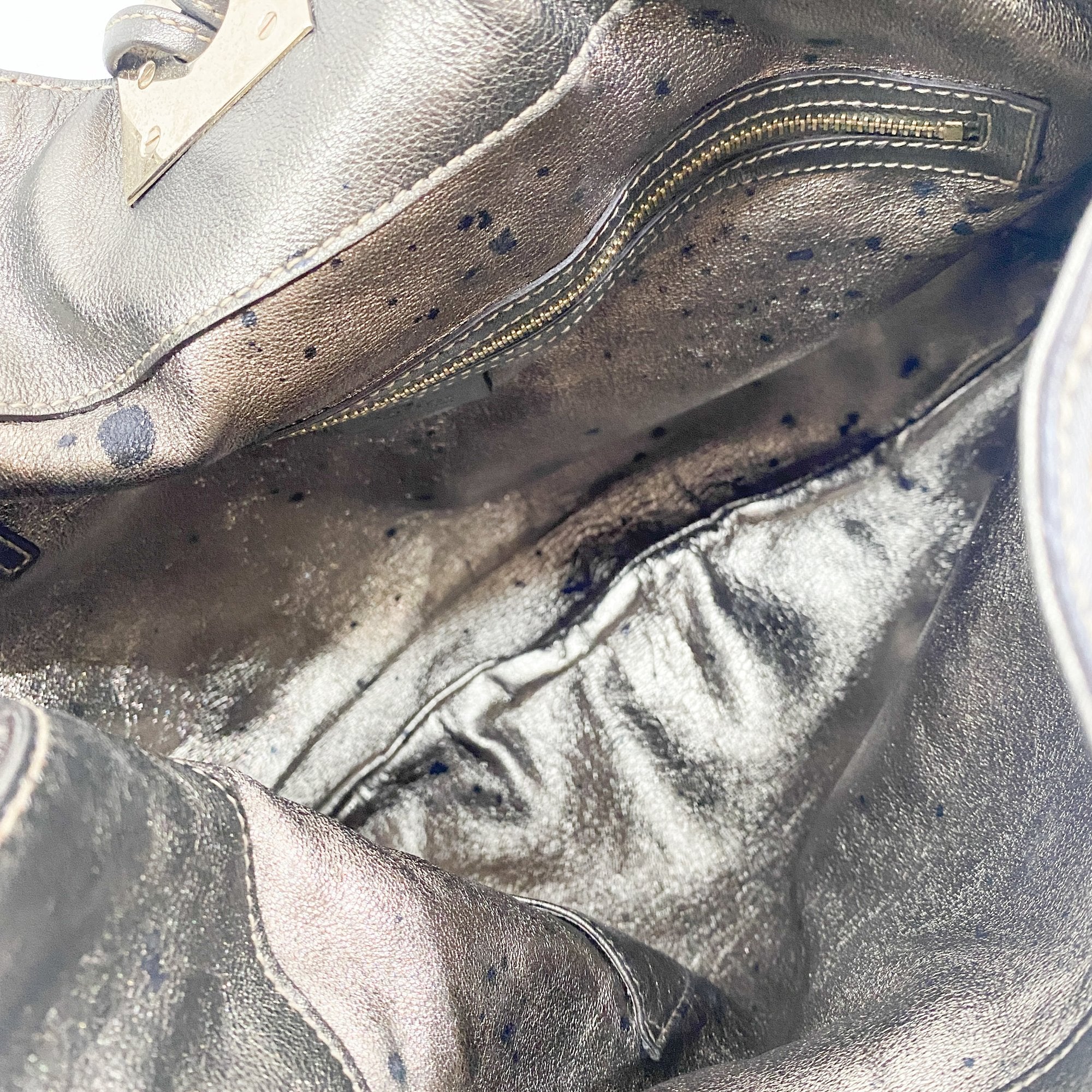 Indy Metallic Python Embossed Leather Hobo Bag