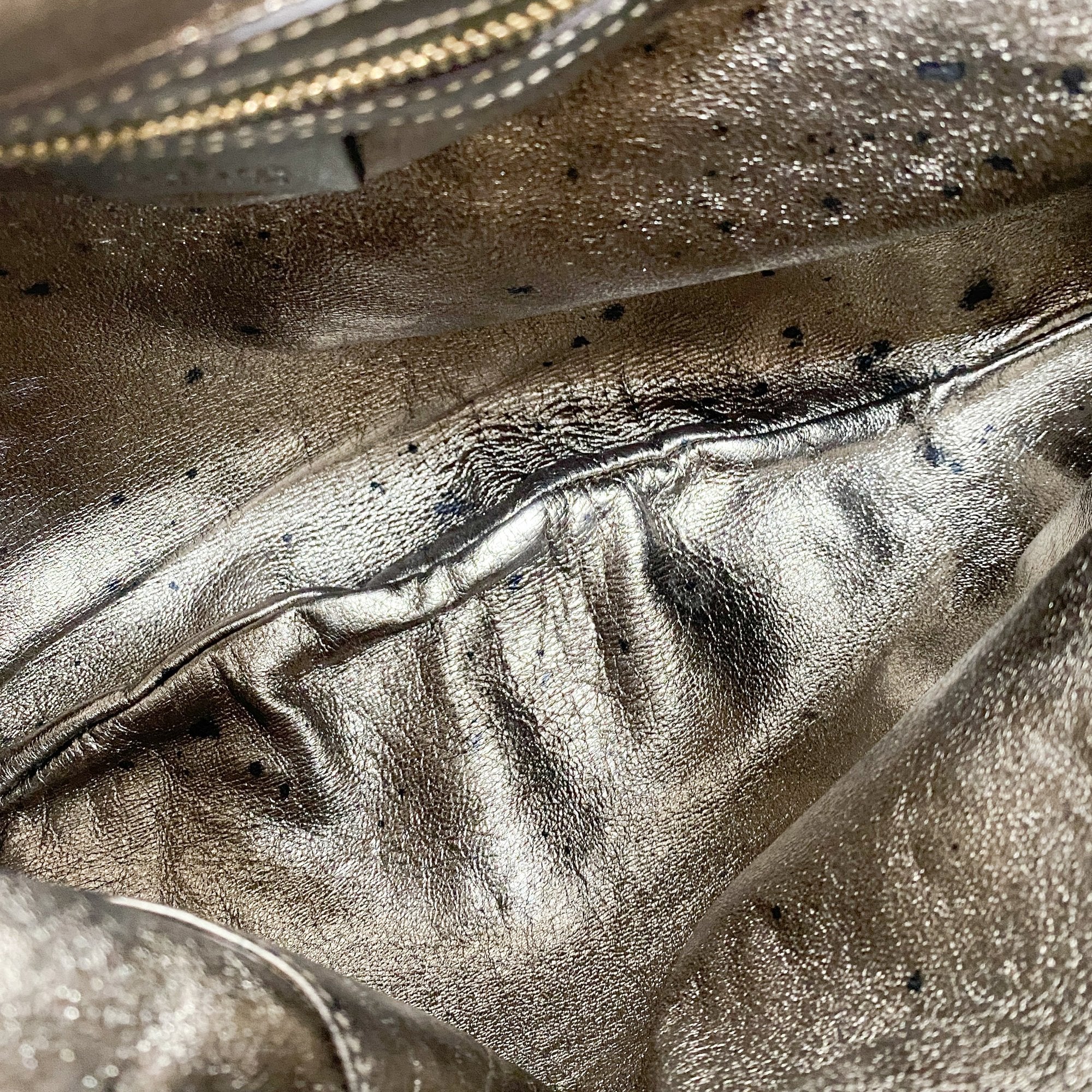 Indy Metallic Python Embossed Leather Hobo Bag