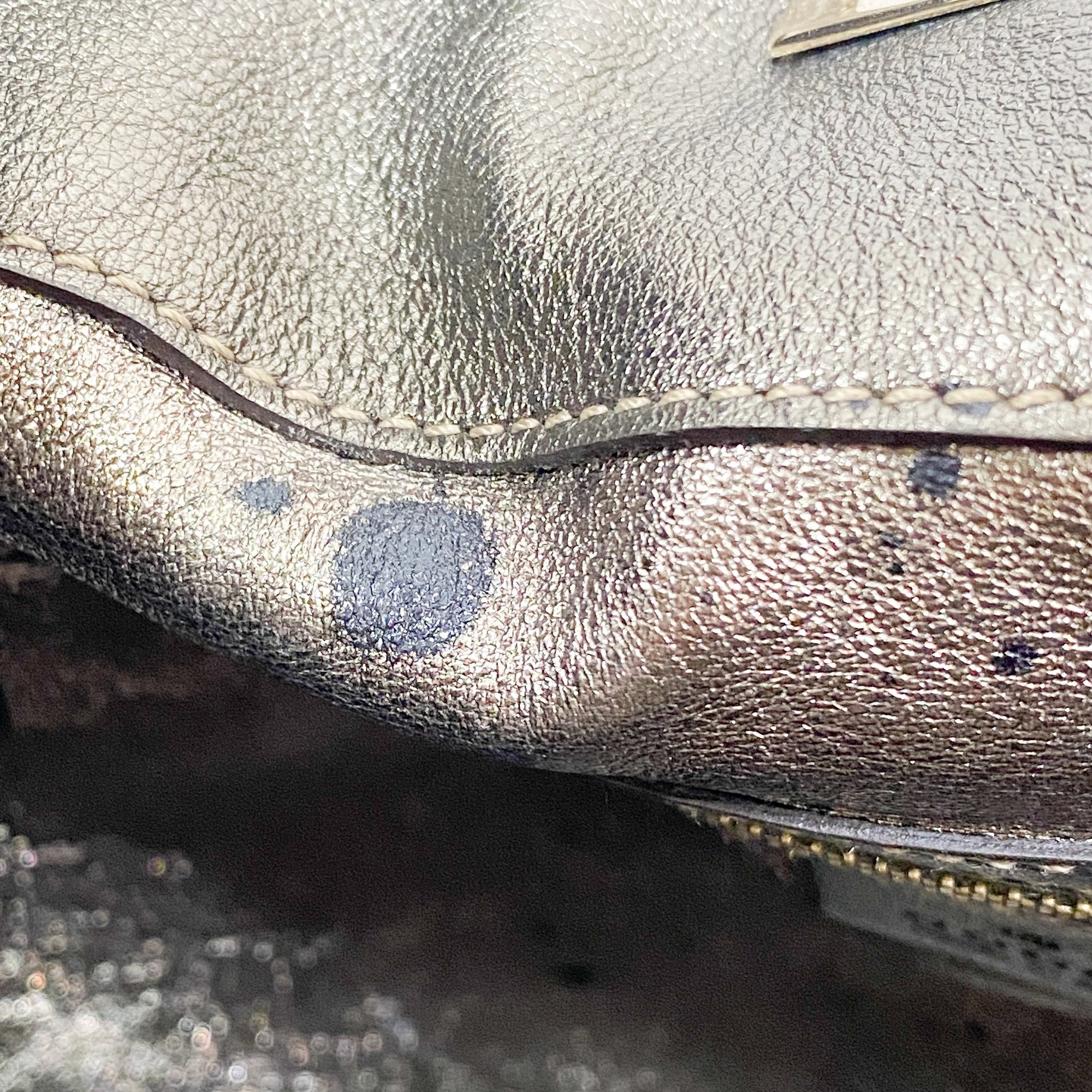 Indy Metallic Python Embossed Leather Hobo Bag