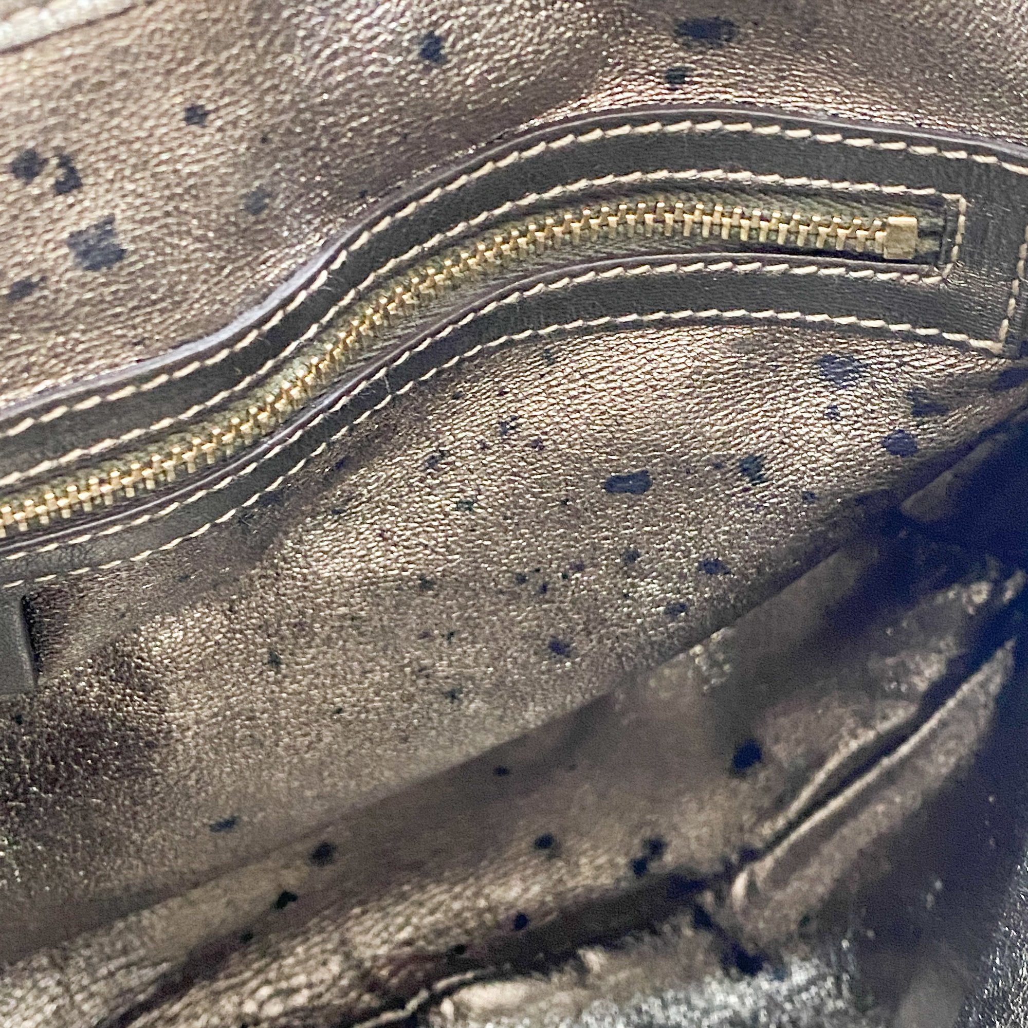 Indy Metallic Python Embossed Leather Hobo Bag