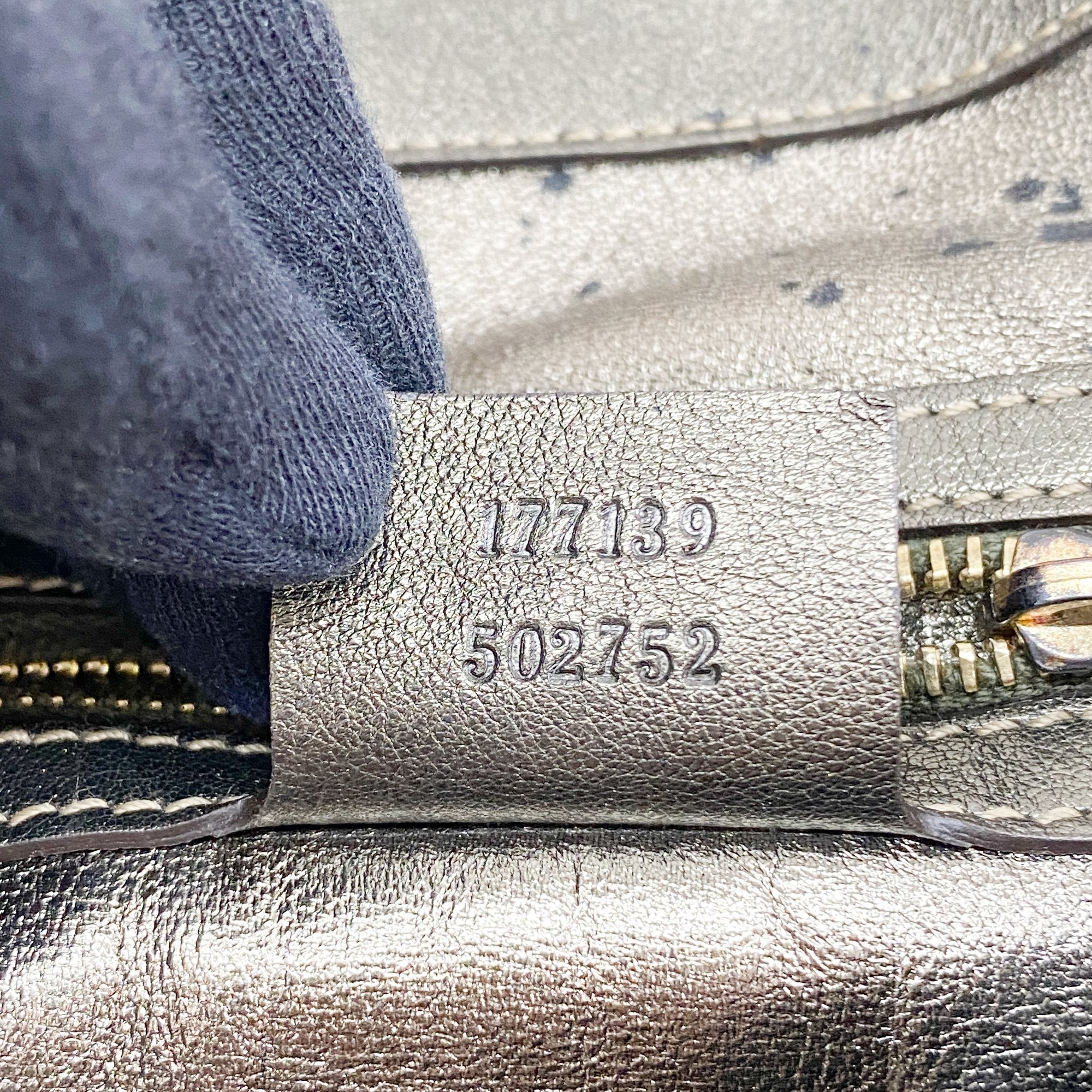 Indy Metallic Python Embossed Leather Hobo Bag