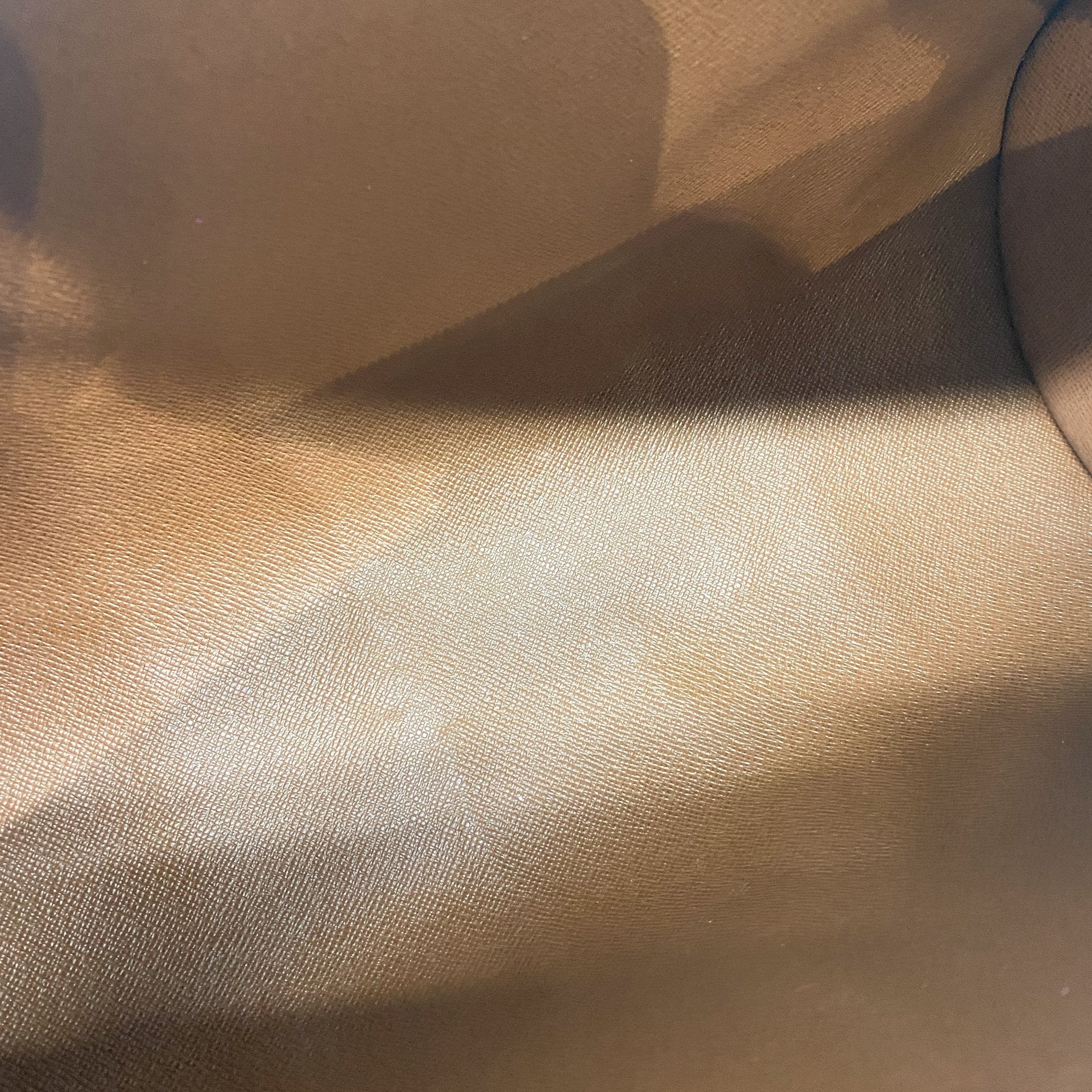 Papillon Watercolour Brown Monogram Shoulder Bag