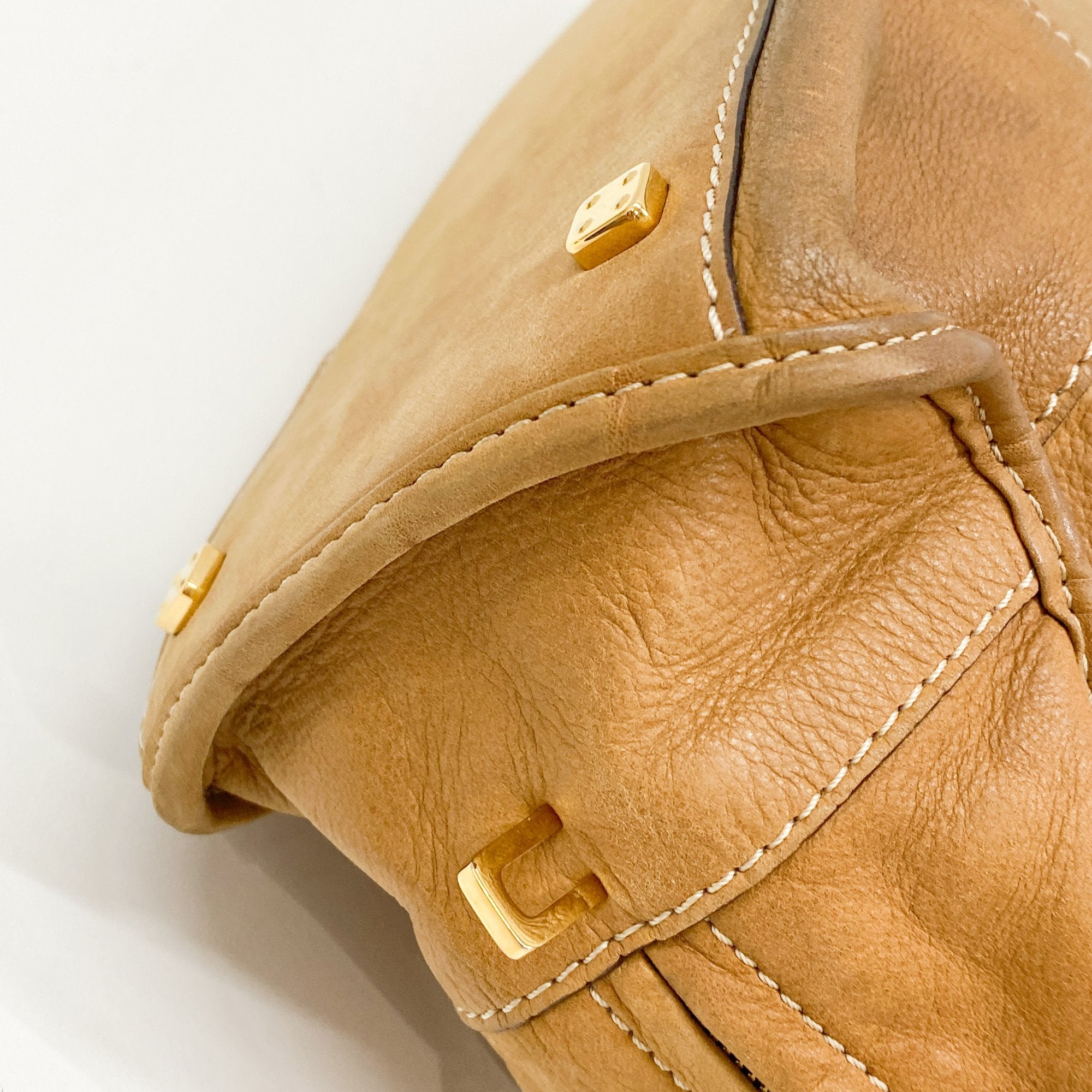 Amazona Brown Leather Hand Bag