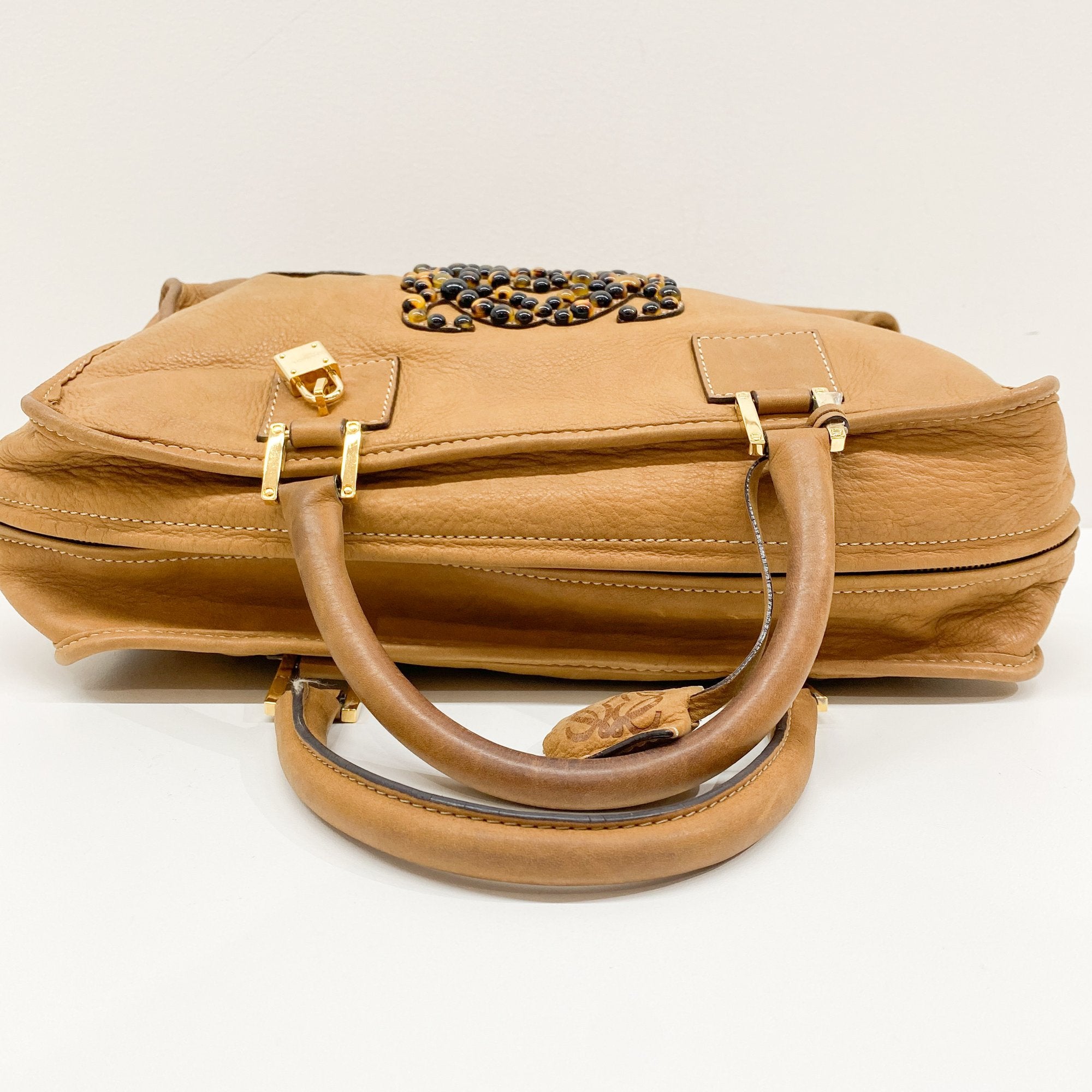 Amazona Brown Leather Hand Bag
