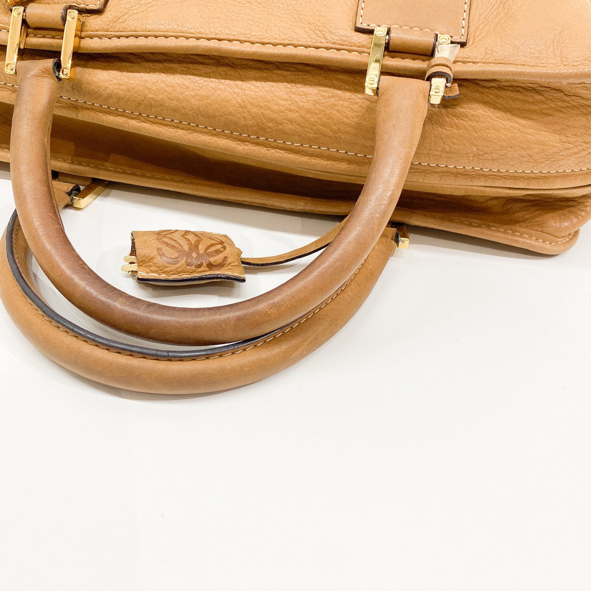 Amazona Brown Leather Hand Bag