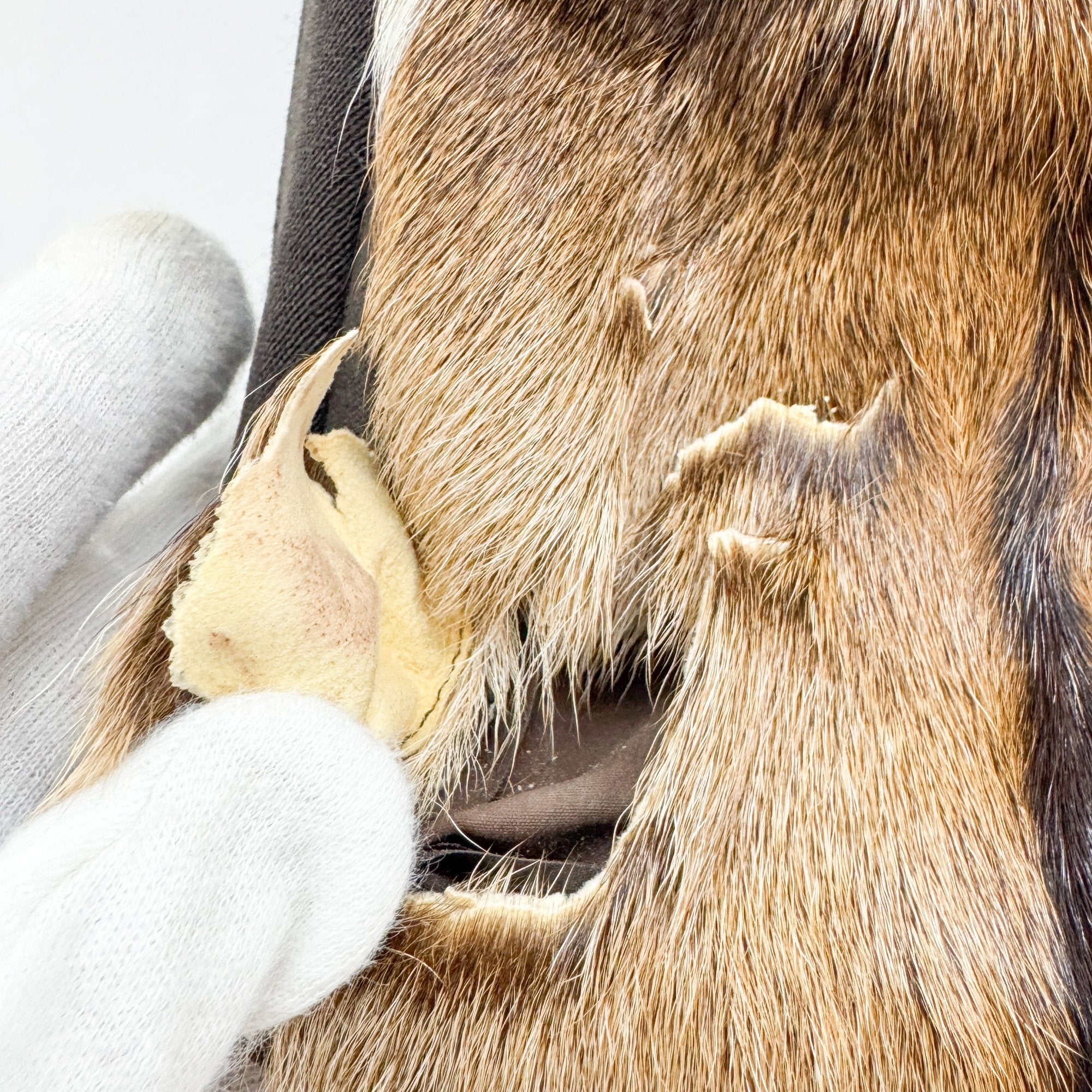 Pony Hair Side Pockets Black Neoprene Hand Bag