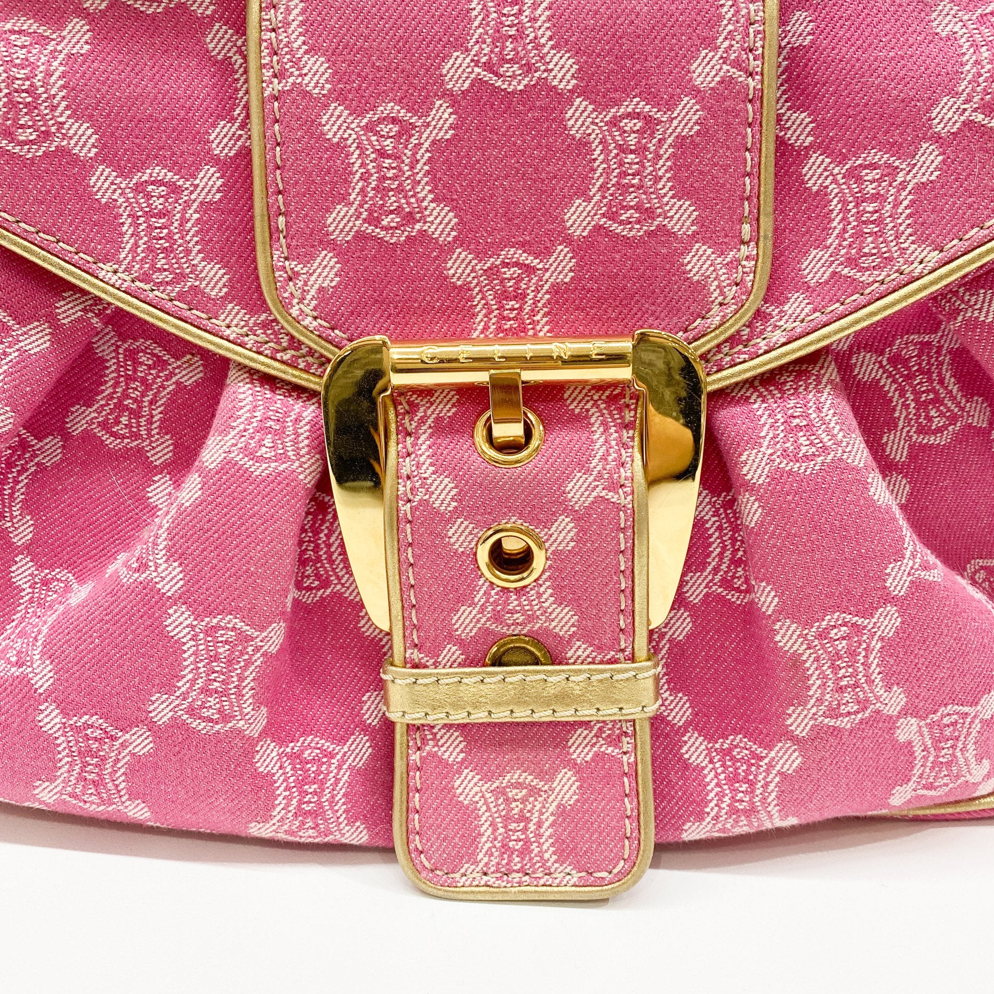 Paris Macadam Pink Cotton Canvas Shoulder Bag