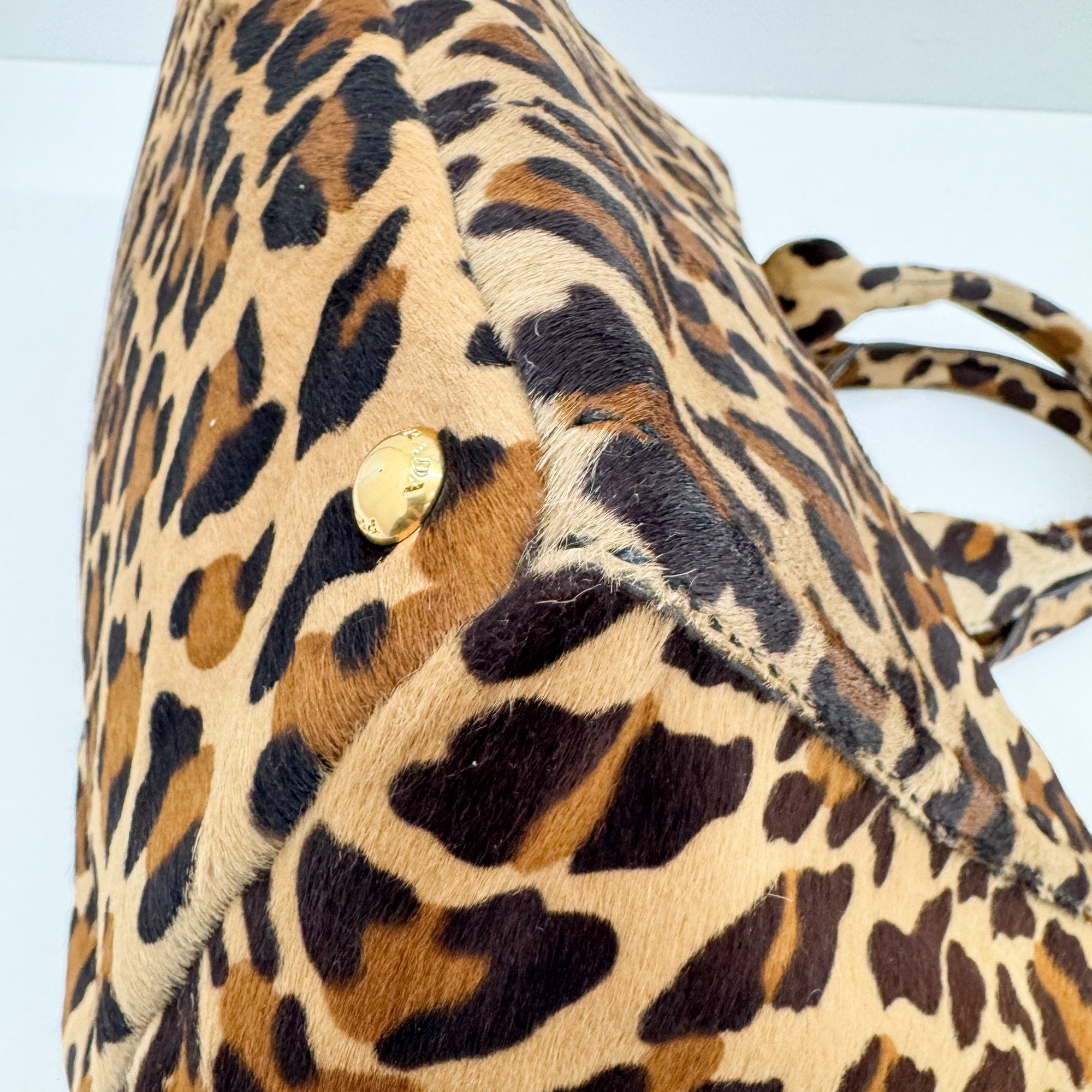 Canapa Brown Leopard Print Pony Hair Hand Bag