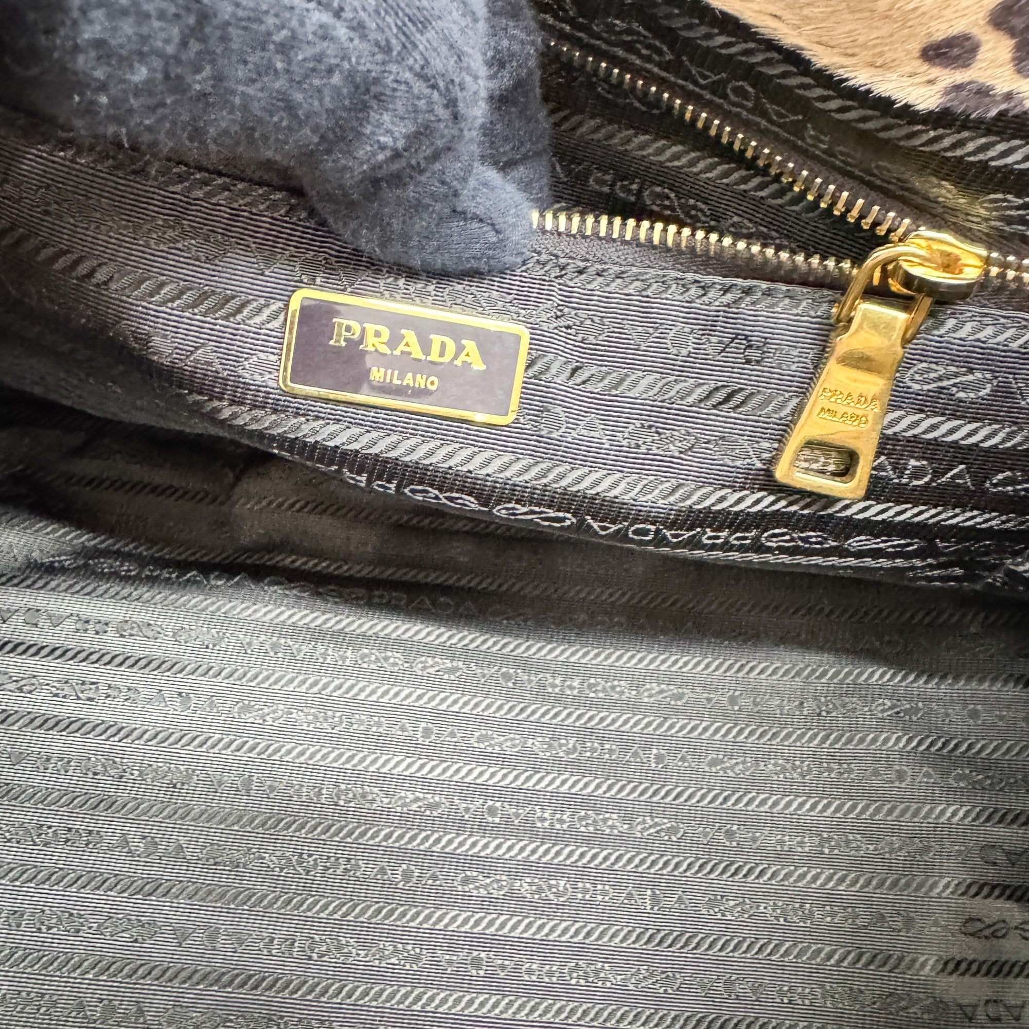 Canapa Brown Leopard Print Pony Hair Hand Bag