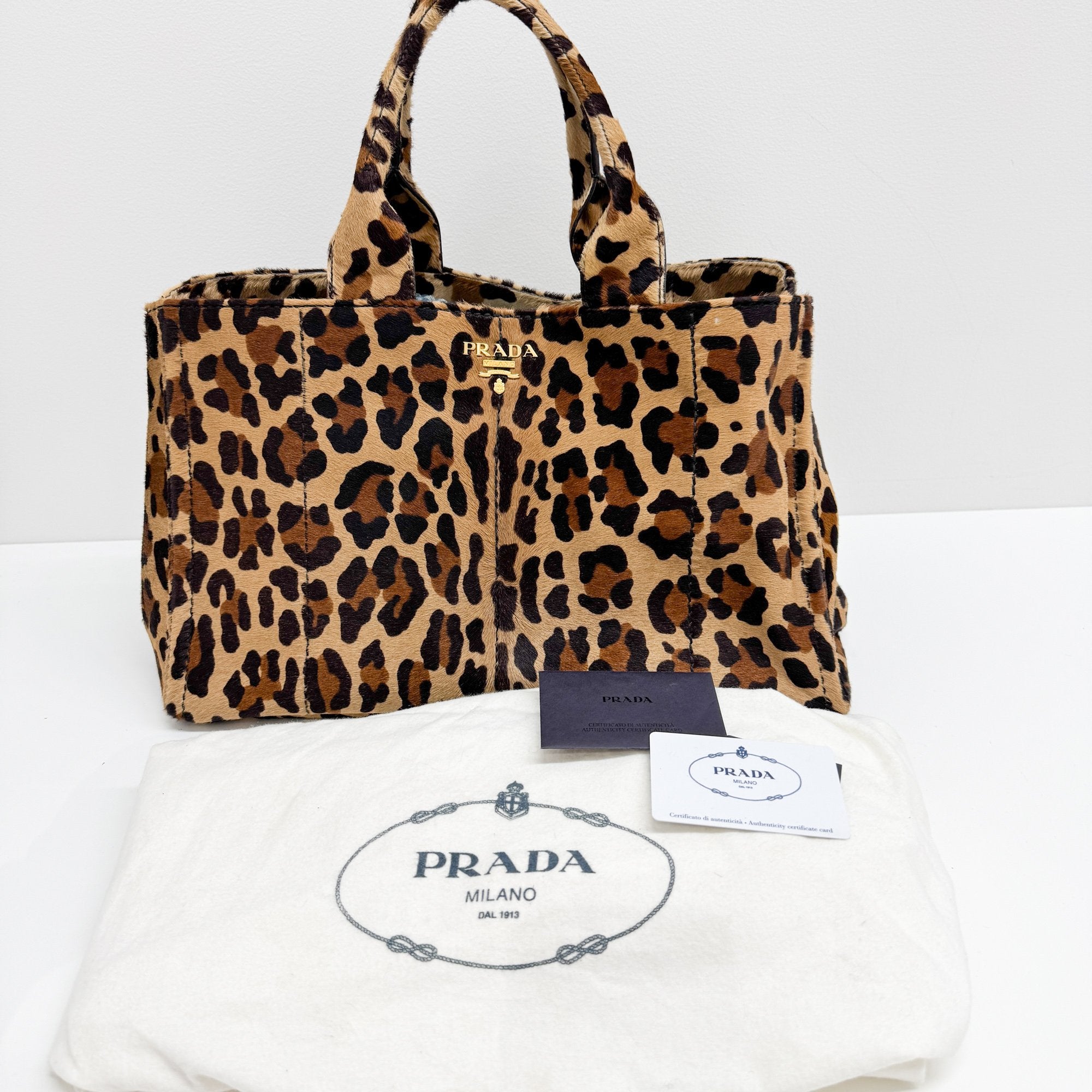 Canapa Brown Leopard Print Pony Hair Hand Bag