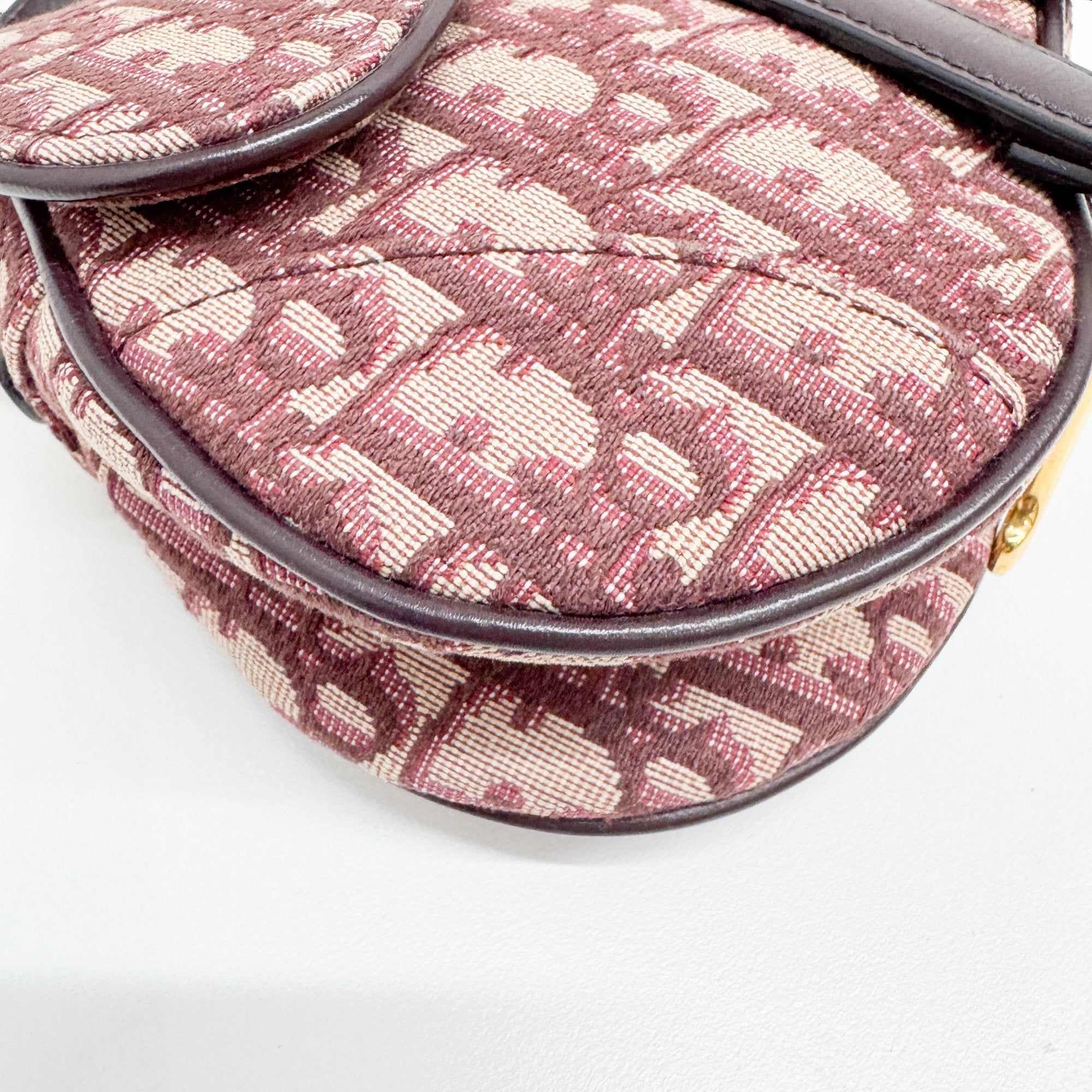 Mini Saddle Red Trotter Canvas Hand Bag