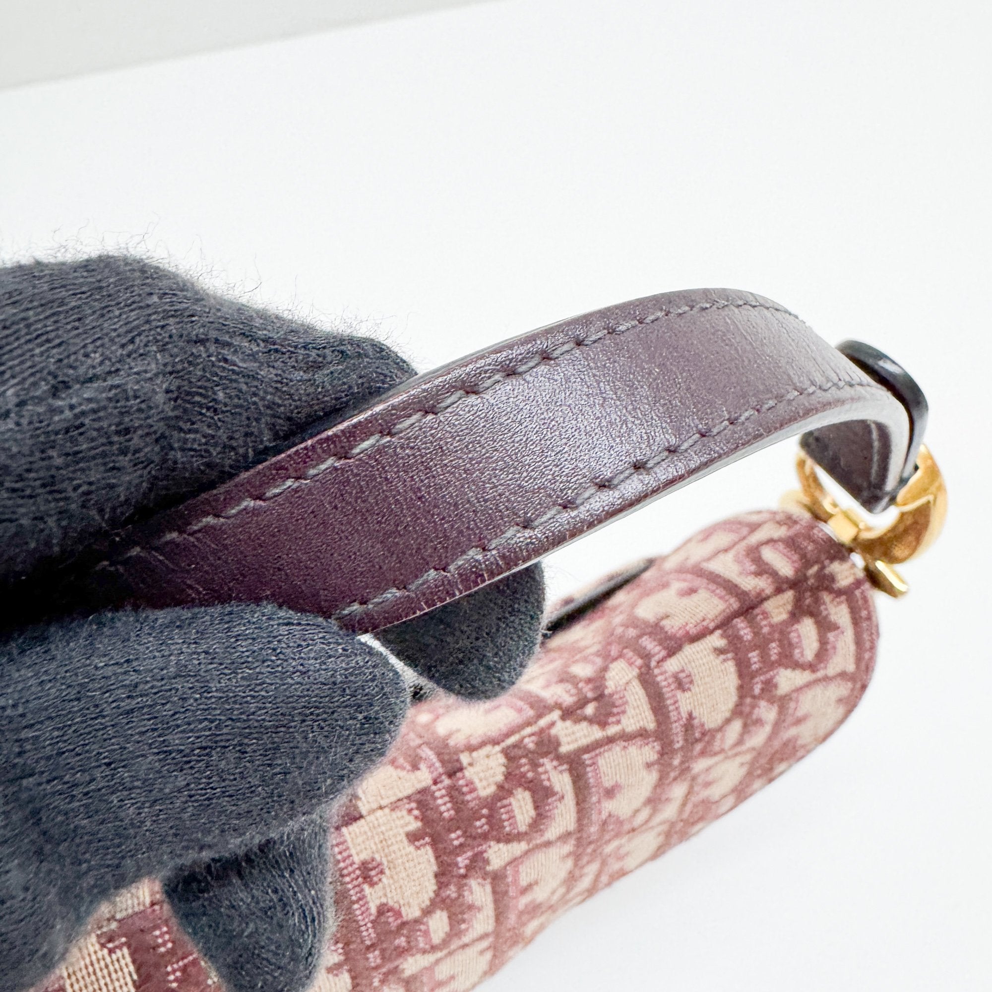 Mini Saddle Red Trotter Canvas Hand Bag