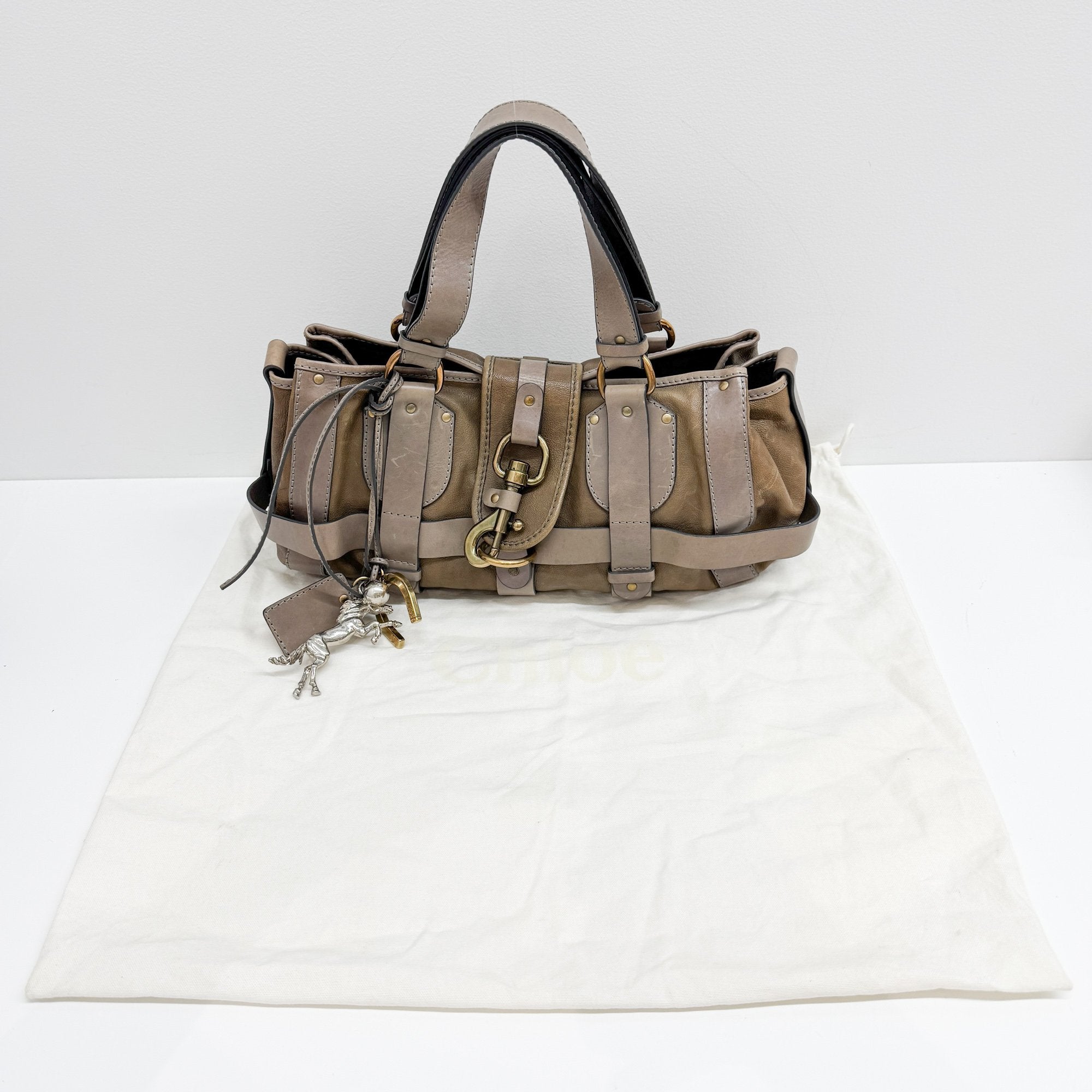 Kerala Multi-color Leather Shoulder Bag