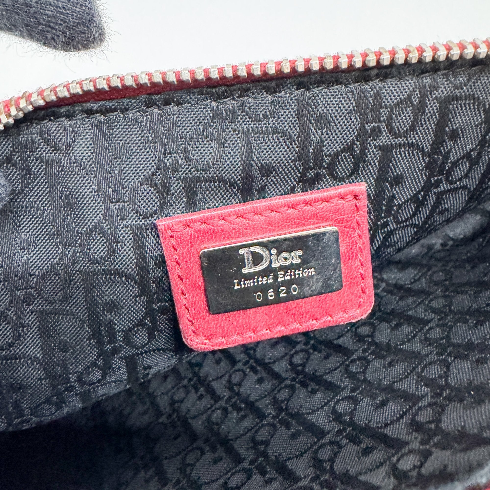 Mini Saddle Multi-Color Victim Canvas Shoulder Bag