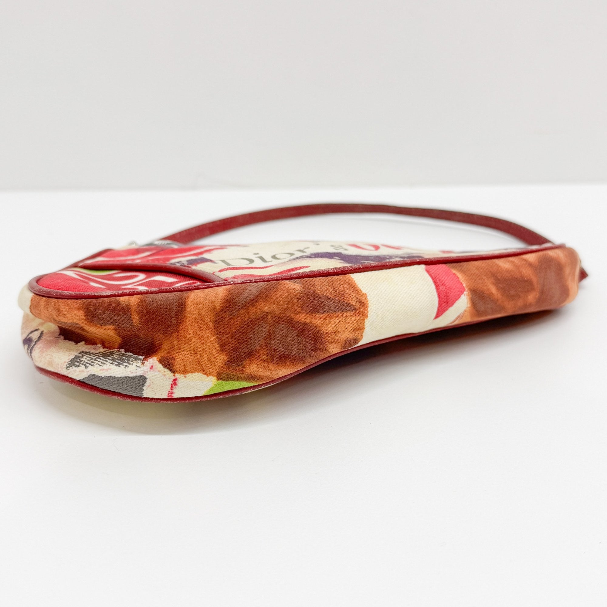 Mini Saddle Multi-Color Victim Canvas Shoulder Bag